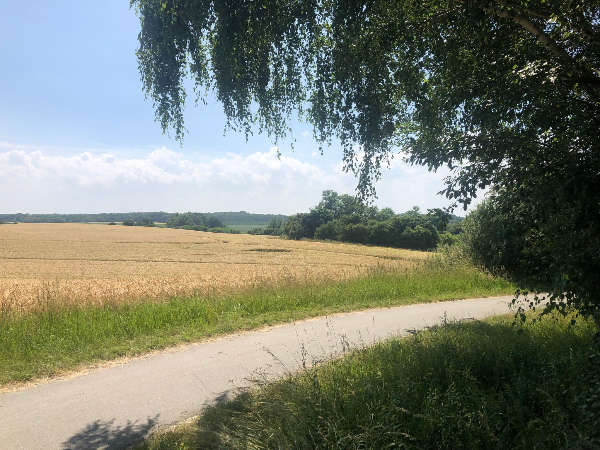View