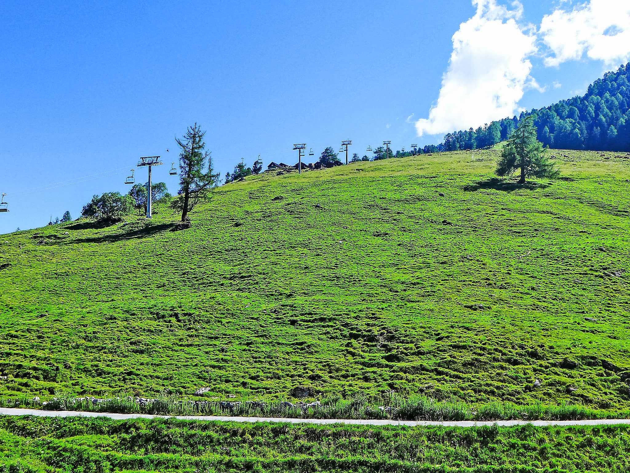 View