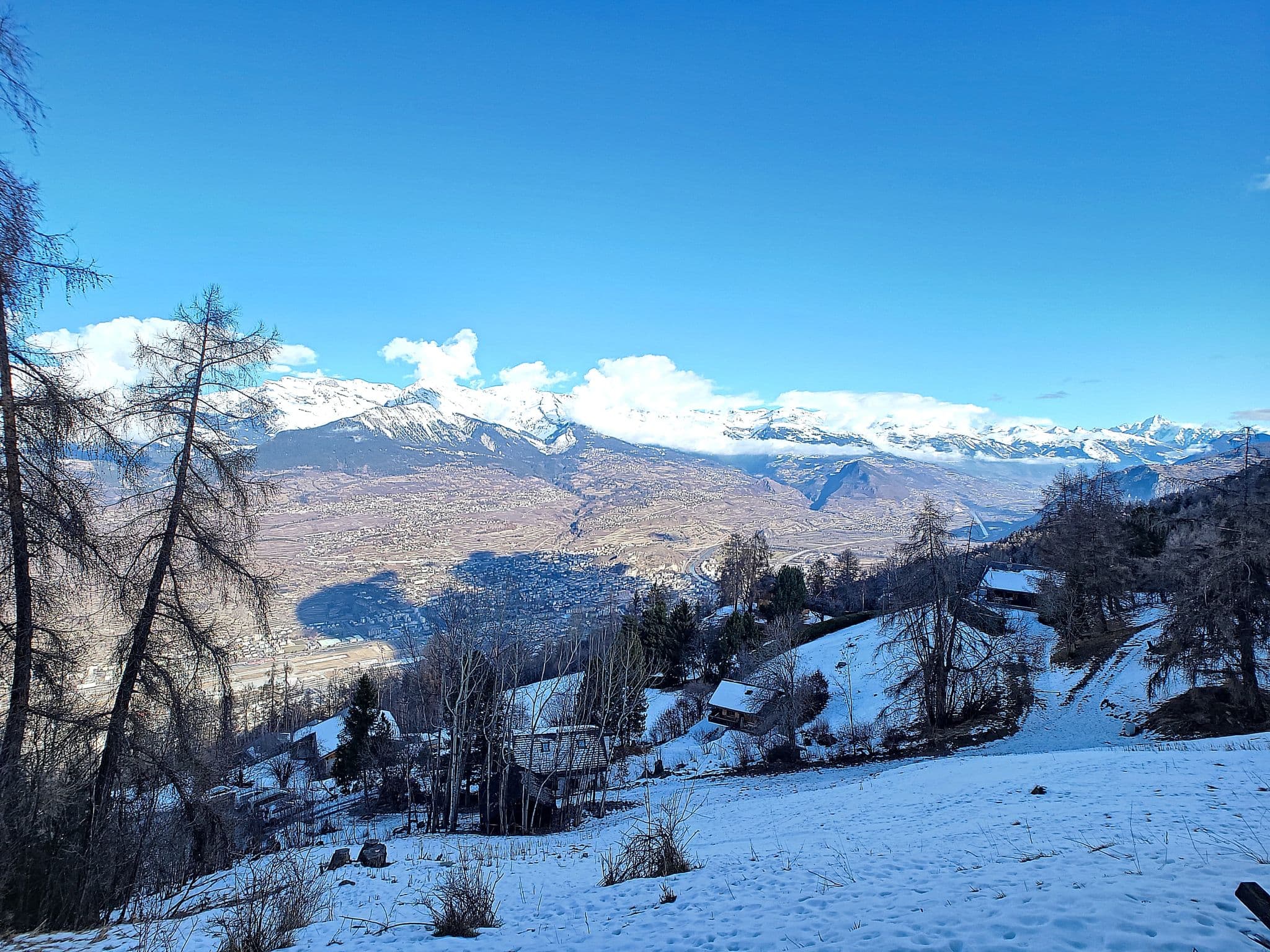 View
