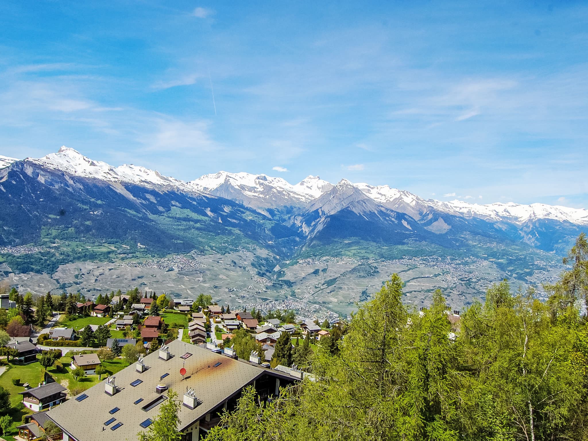 View