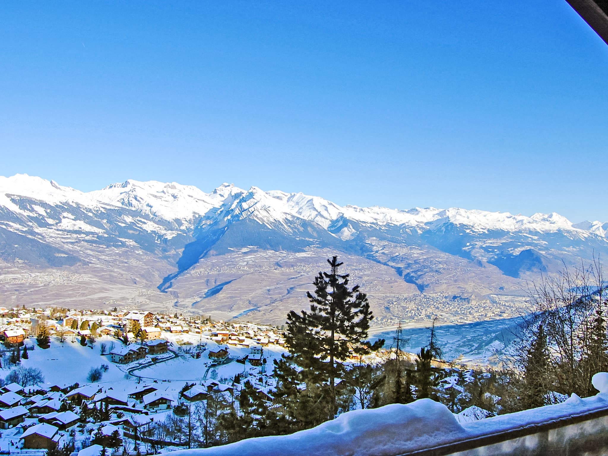 View