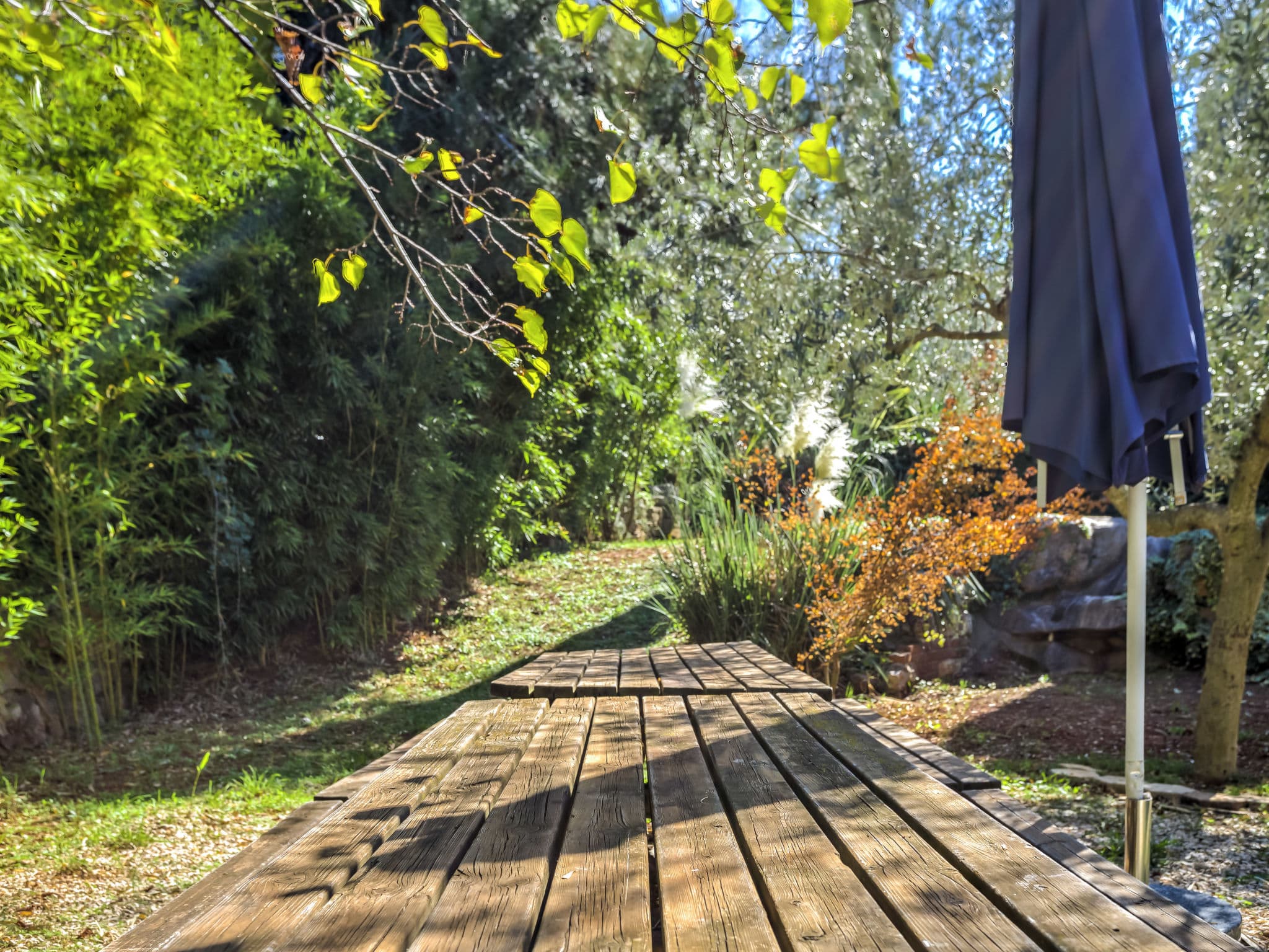Outdoor