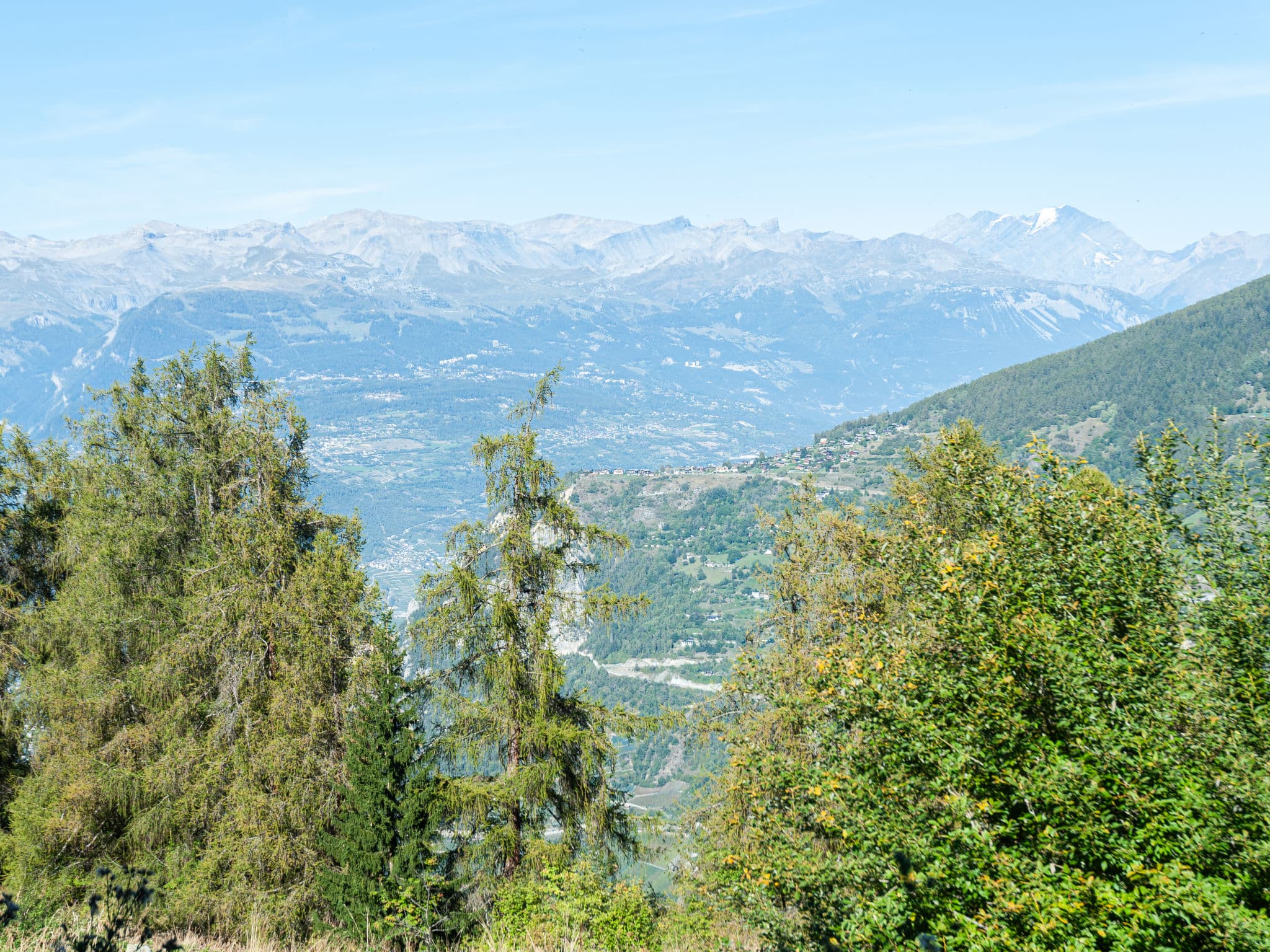 View