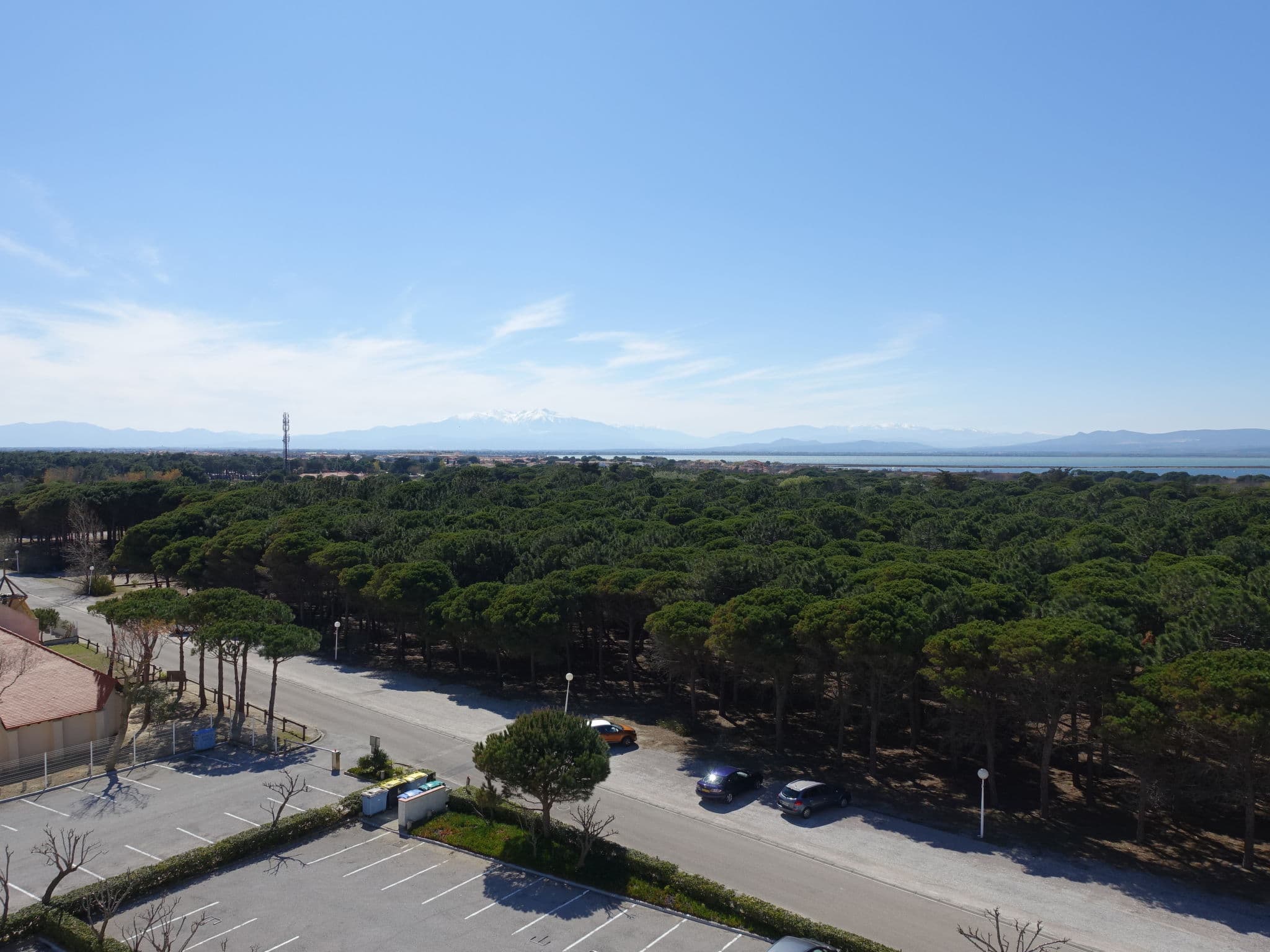 View