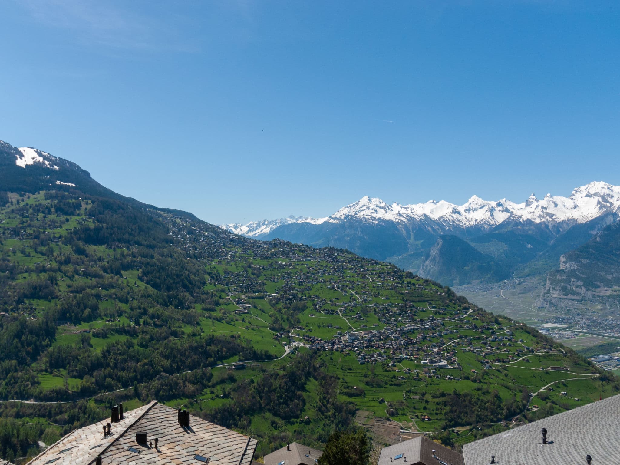 View