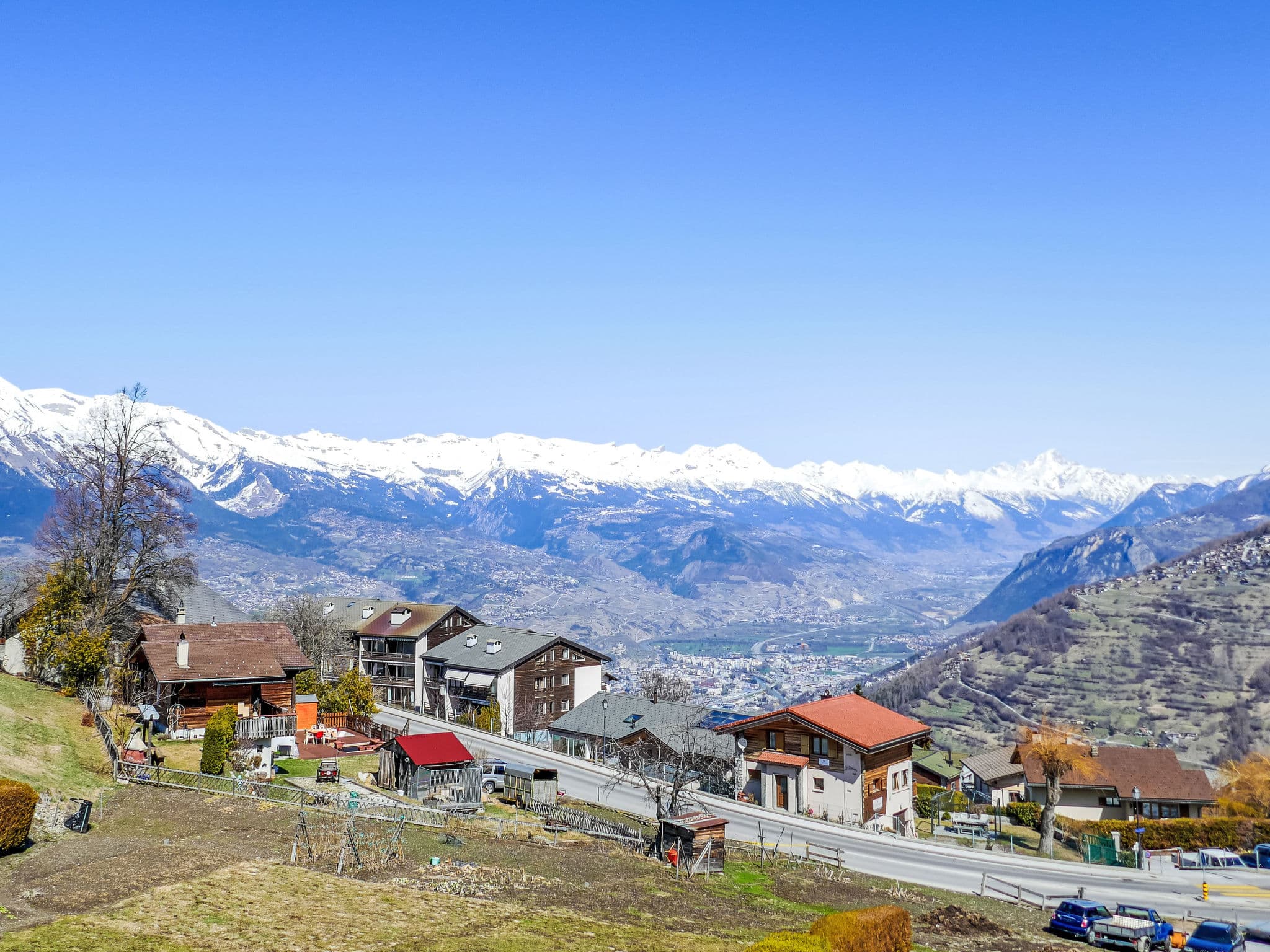 View