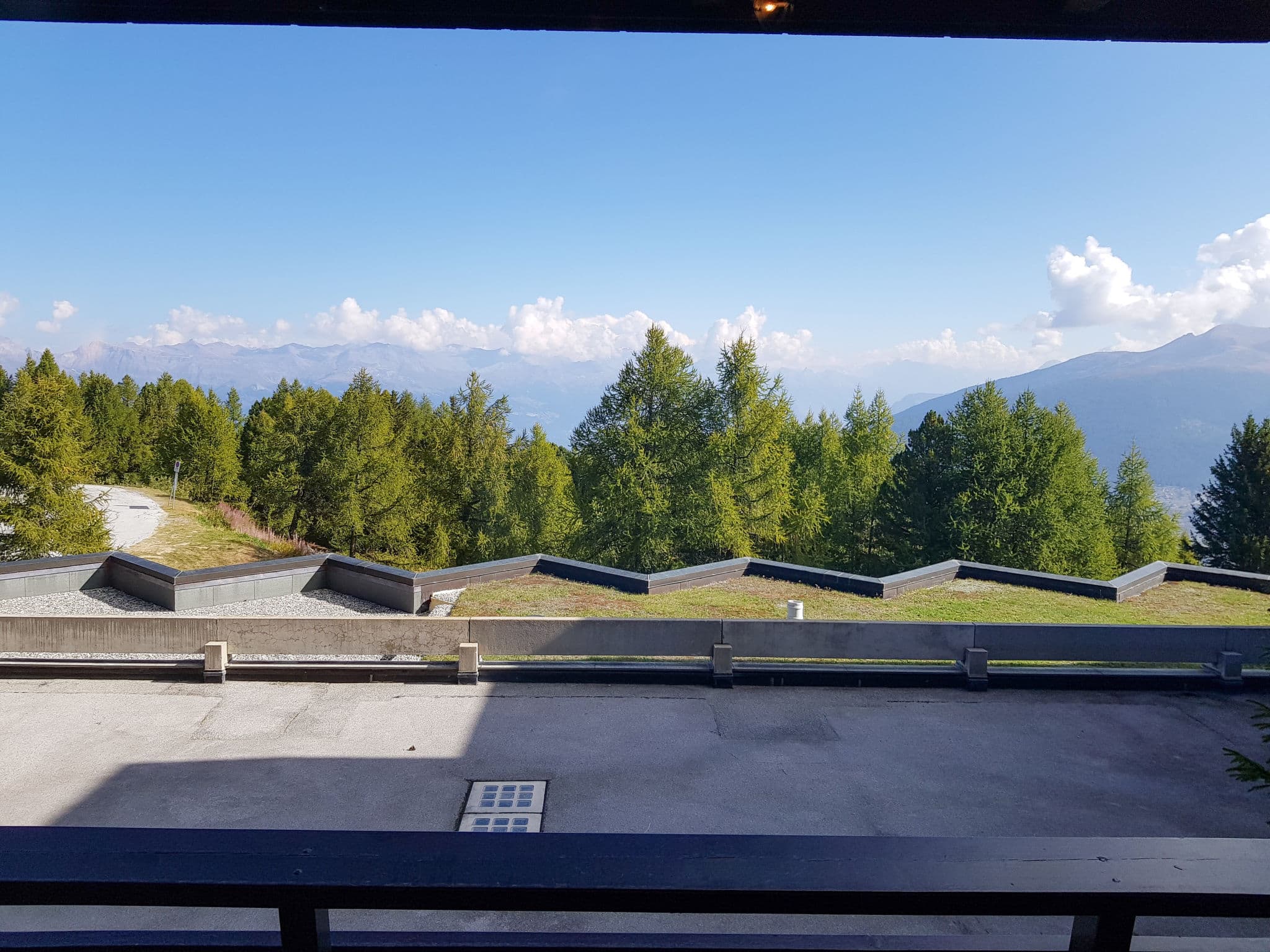 View