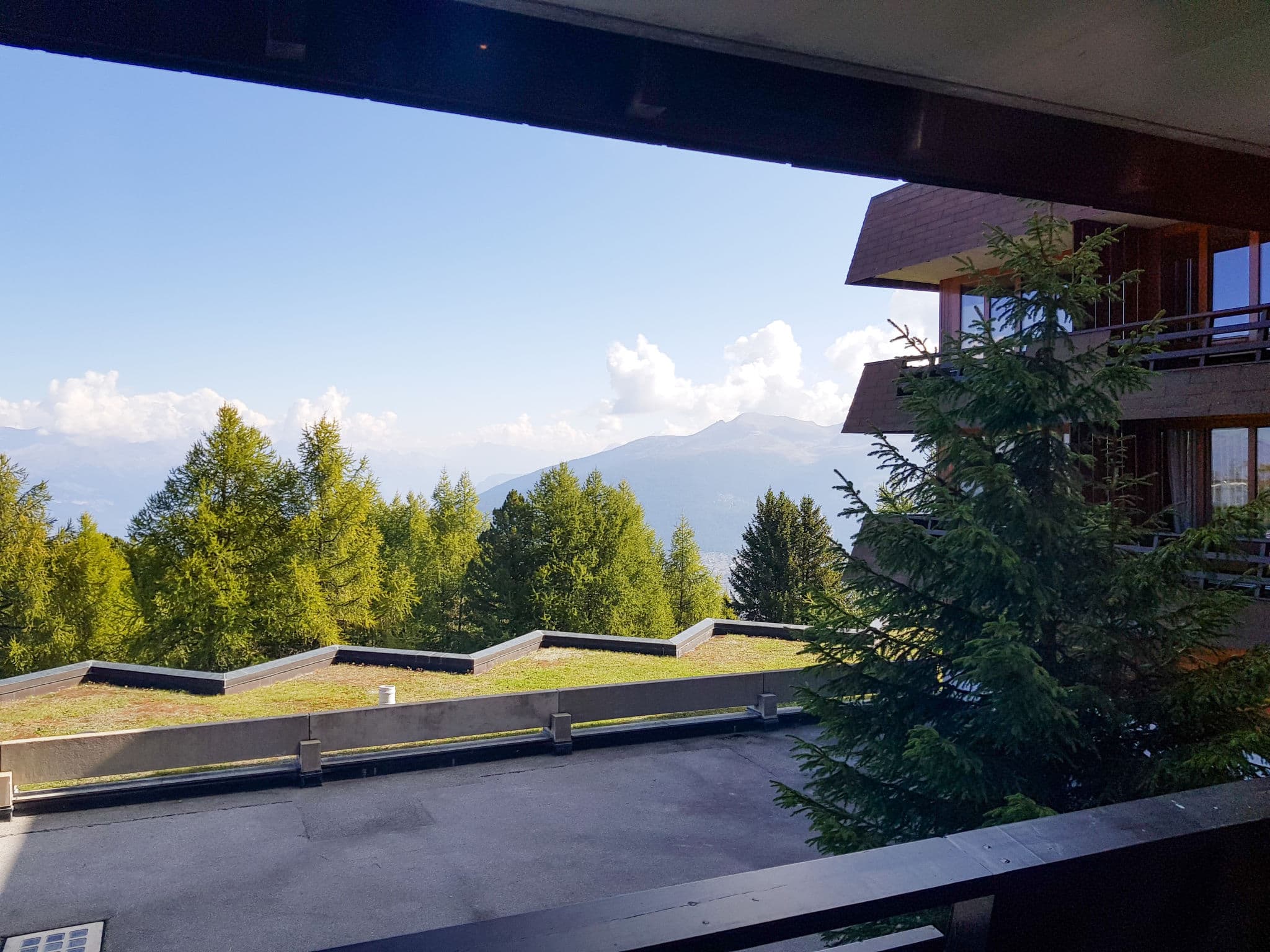 View