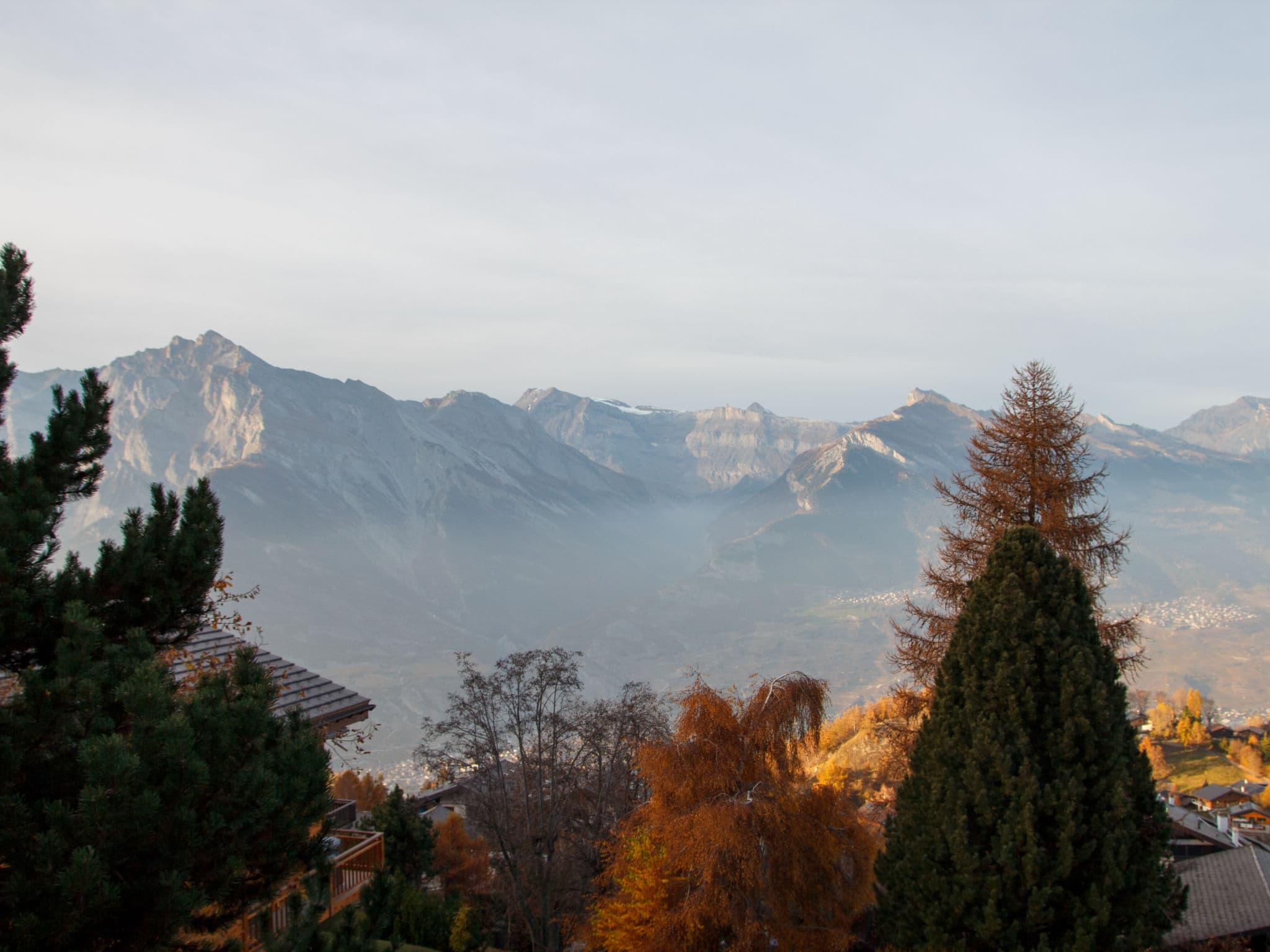 View