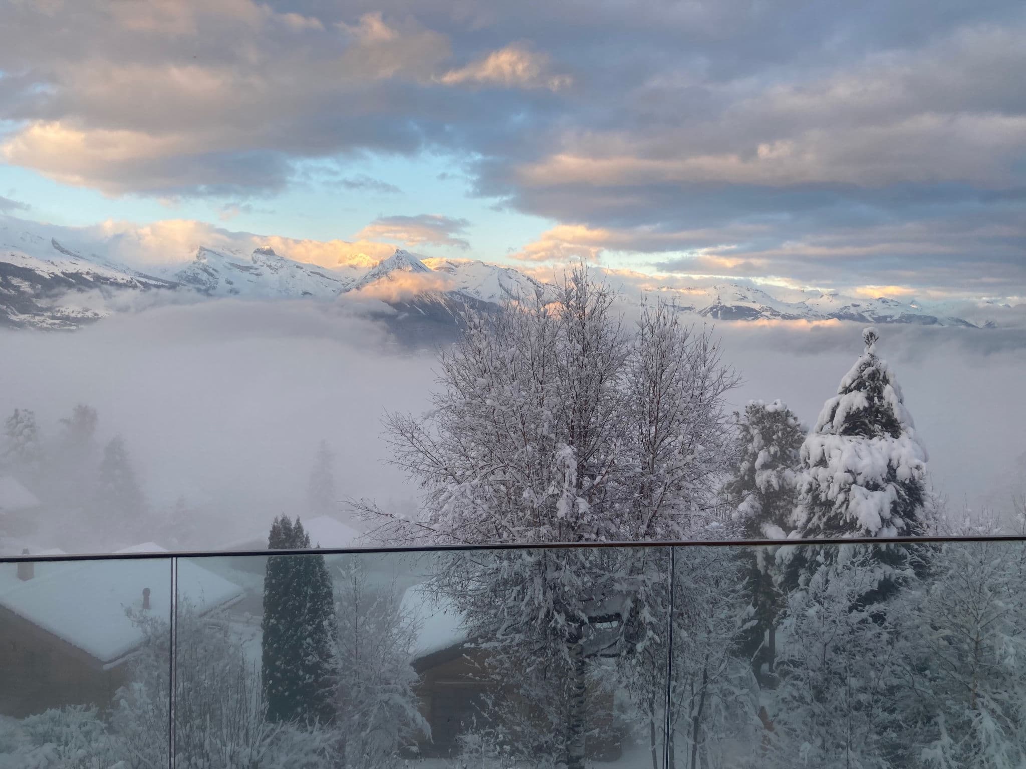 View