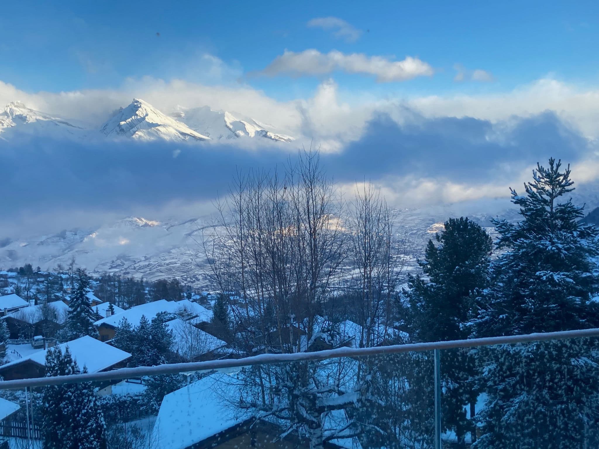 View