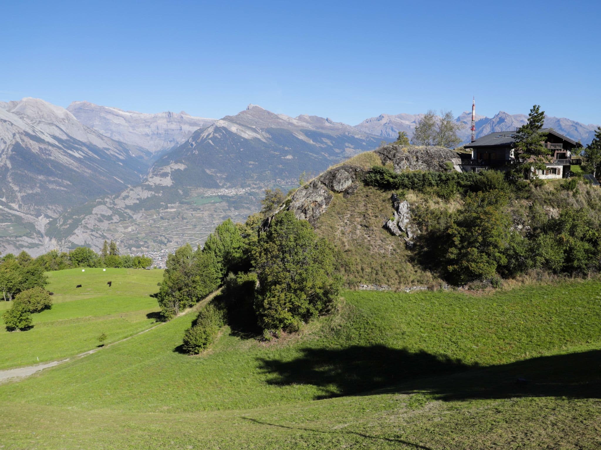 View