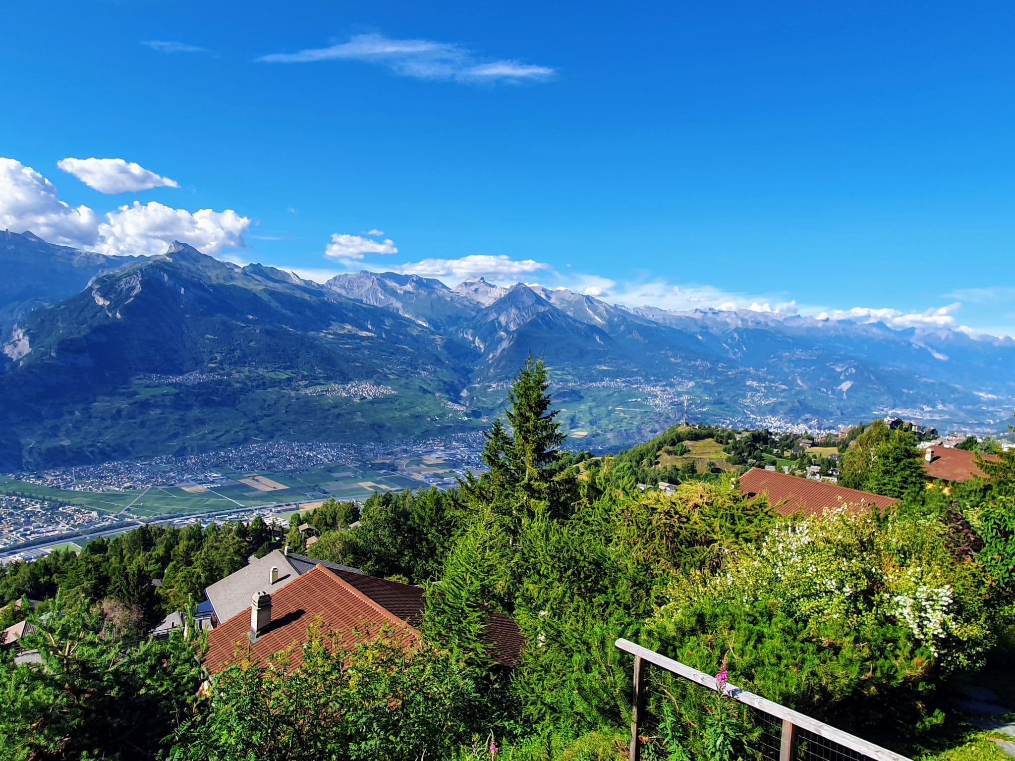View