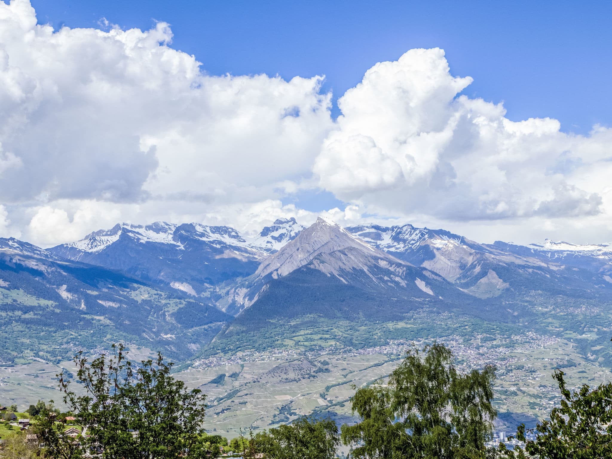 View