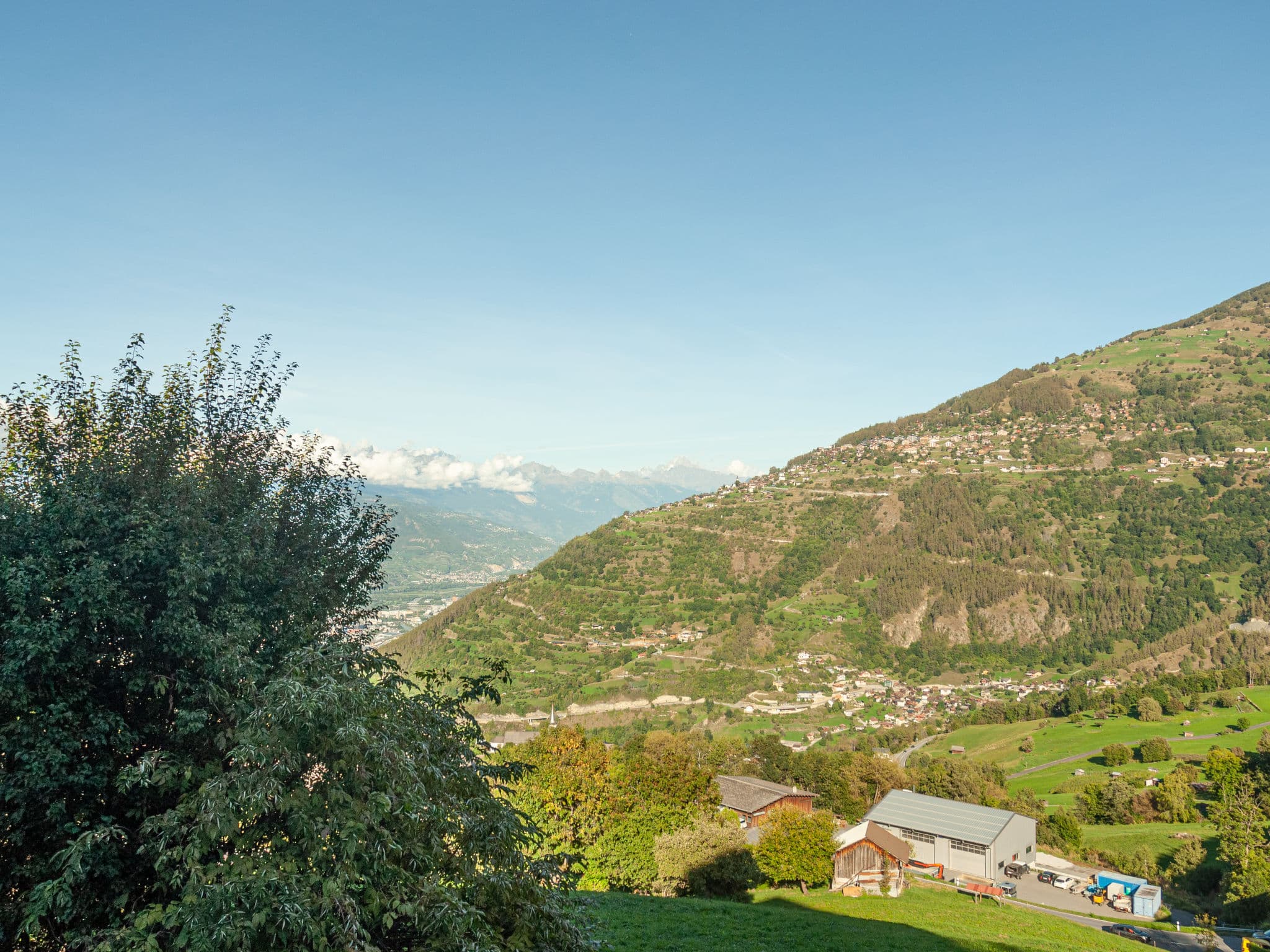 View