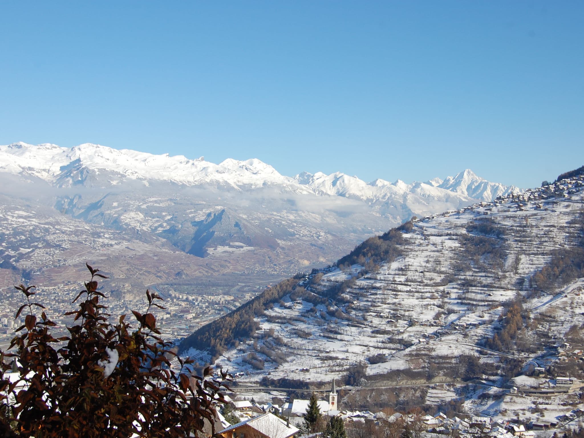 View