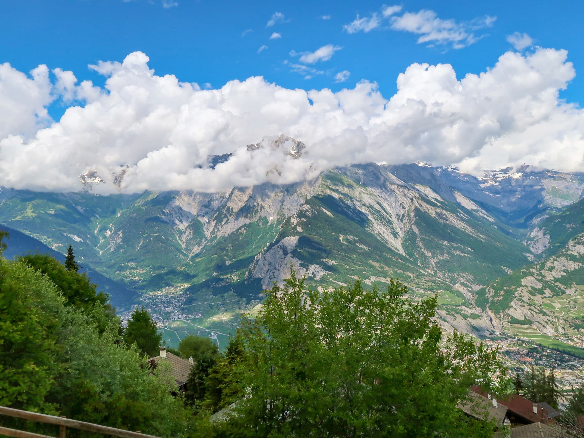 View