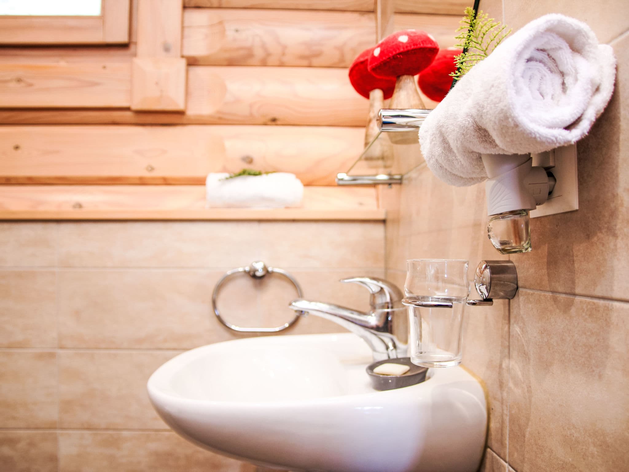 Bathroom / Wellness