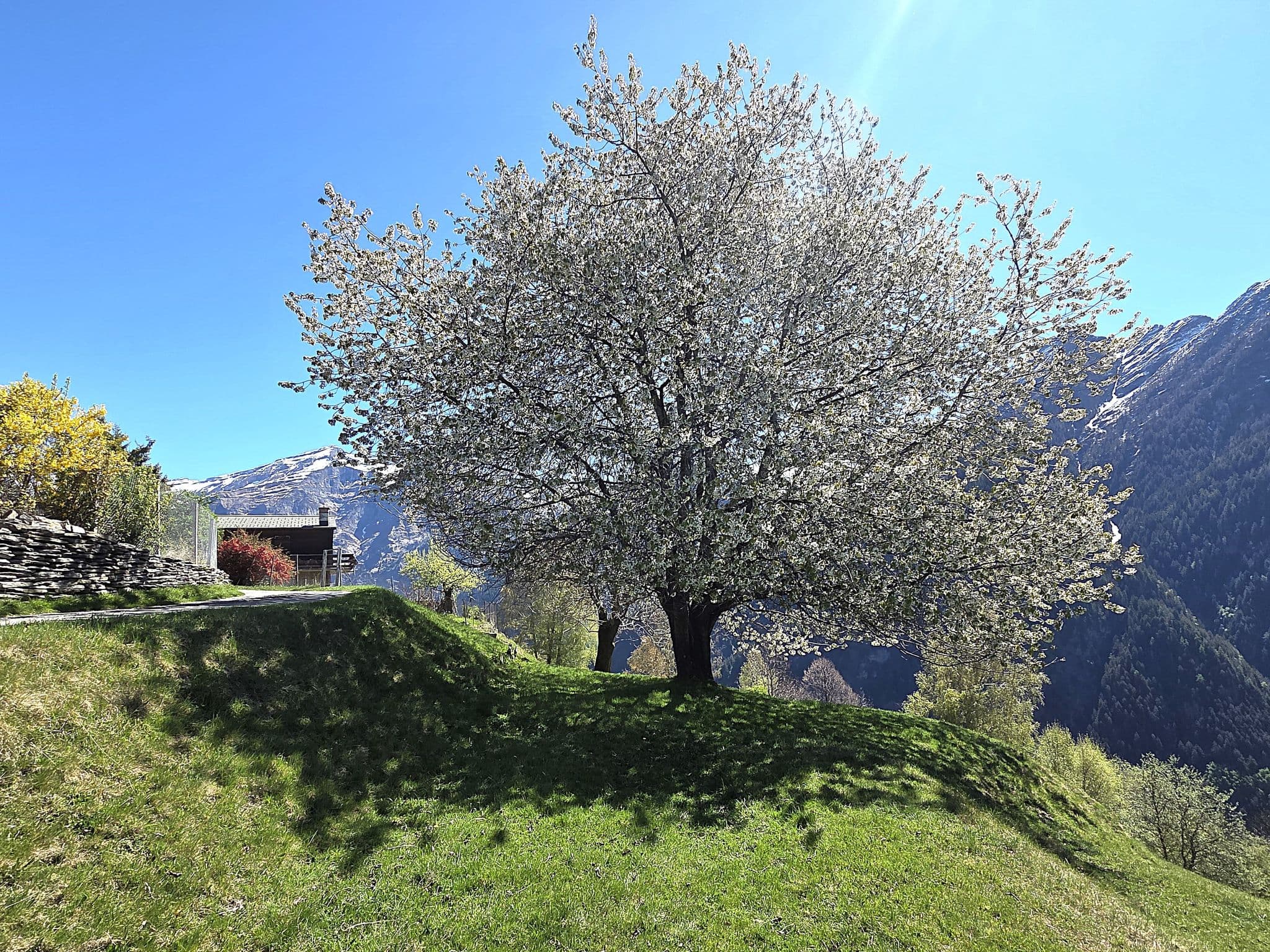 Place