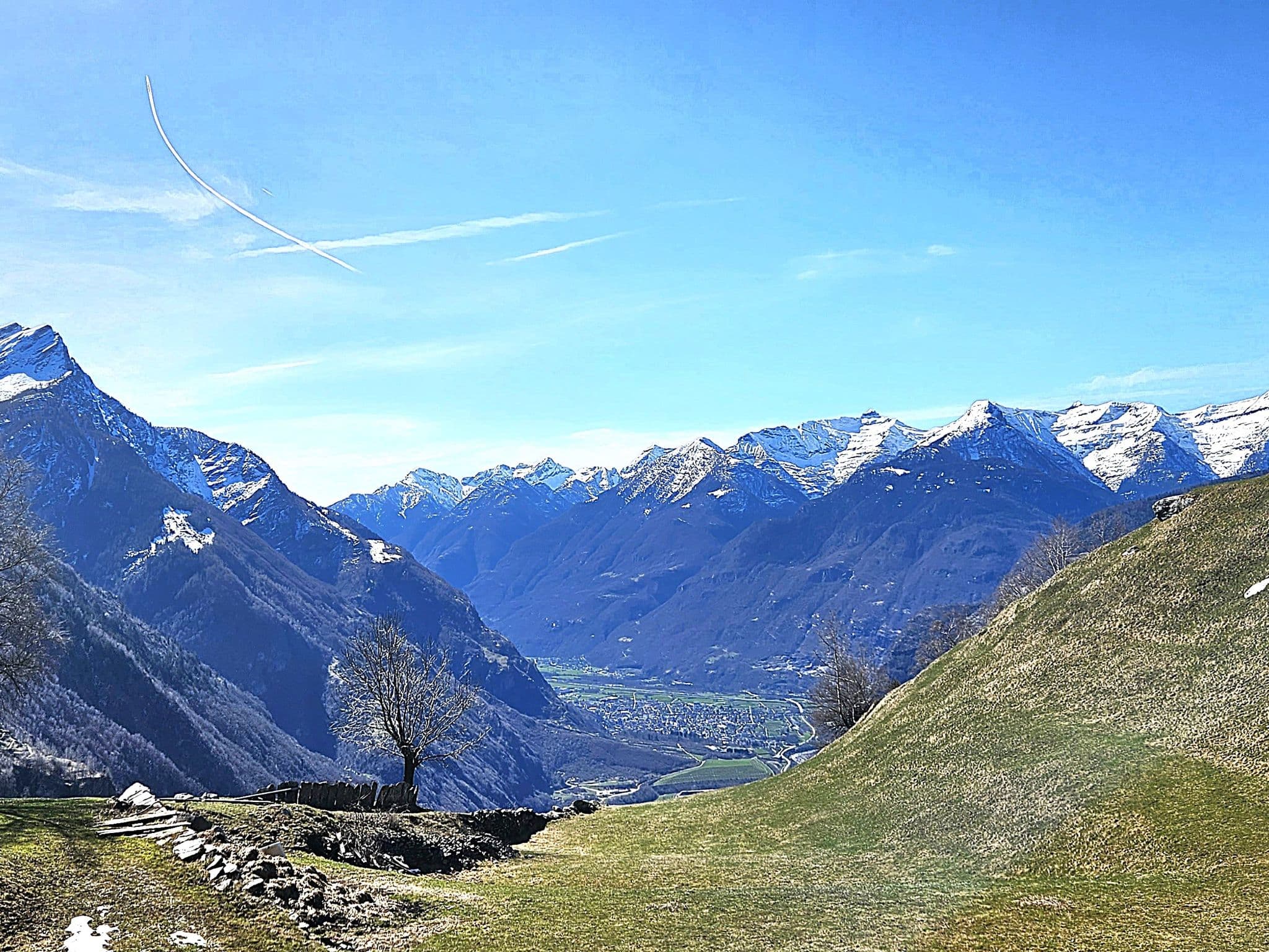 View