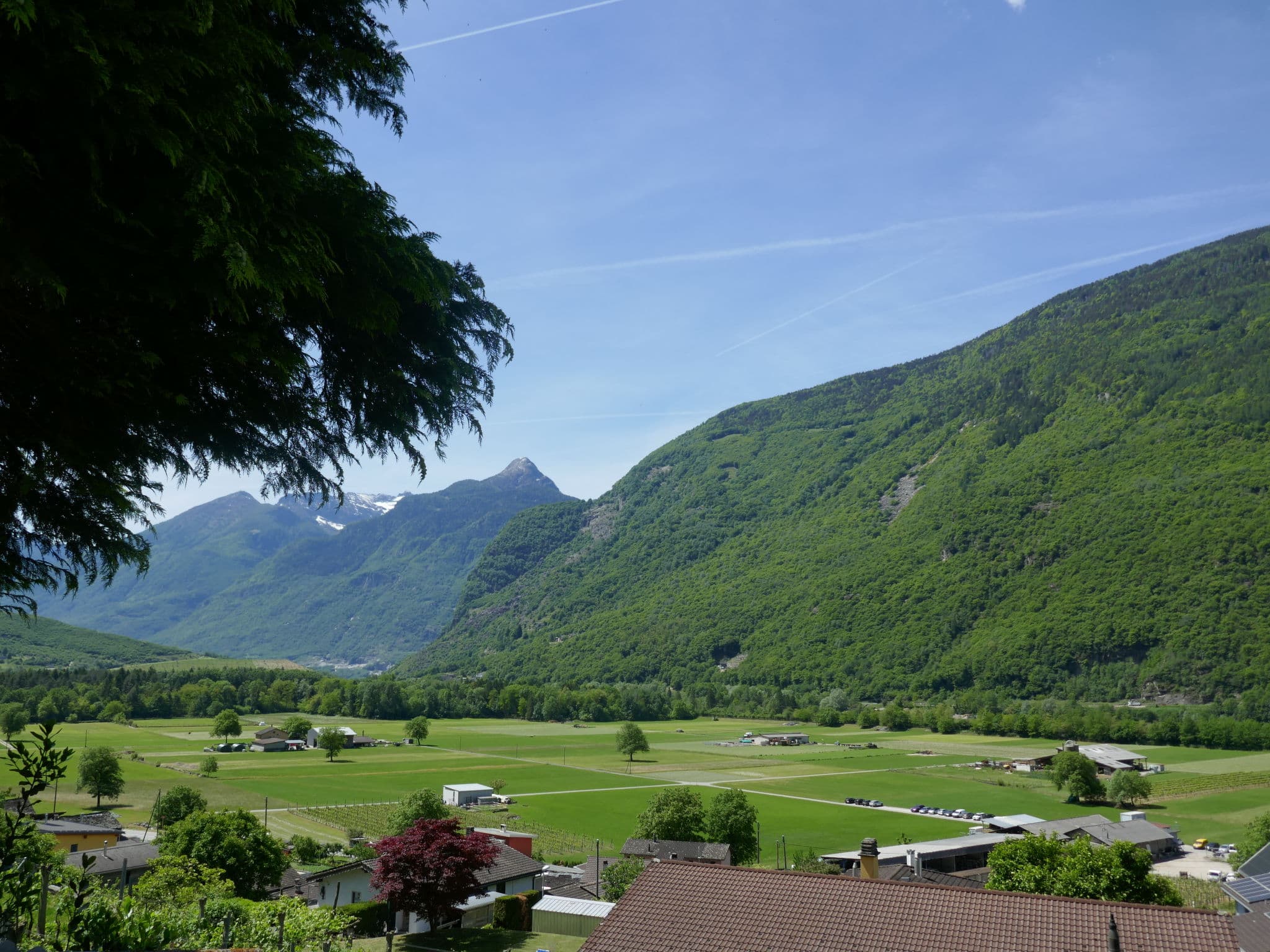 View