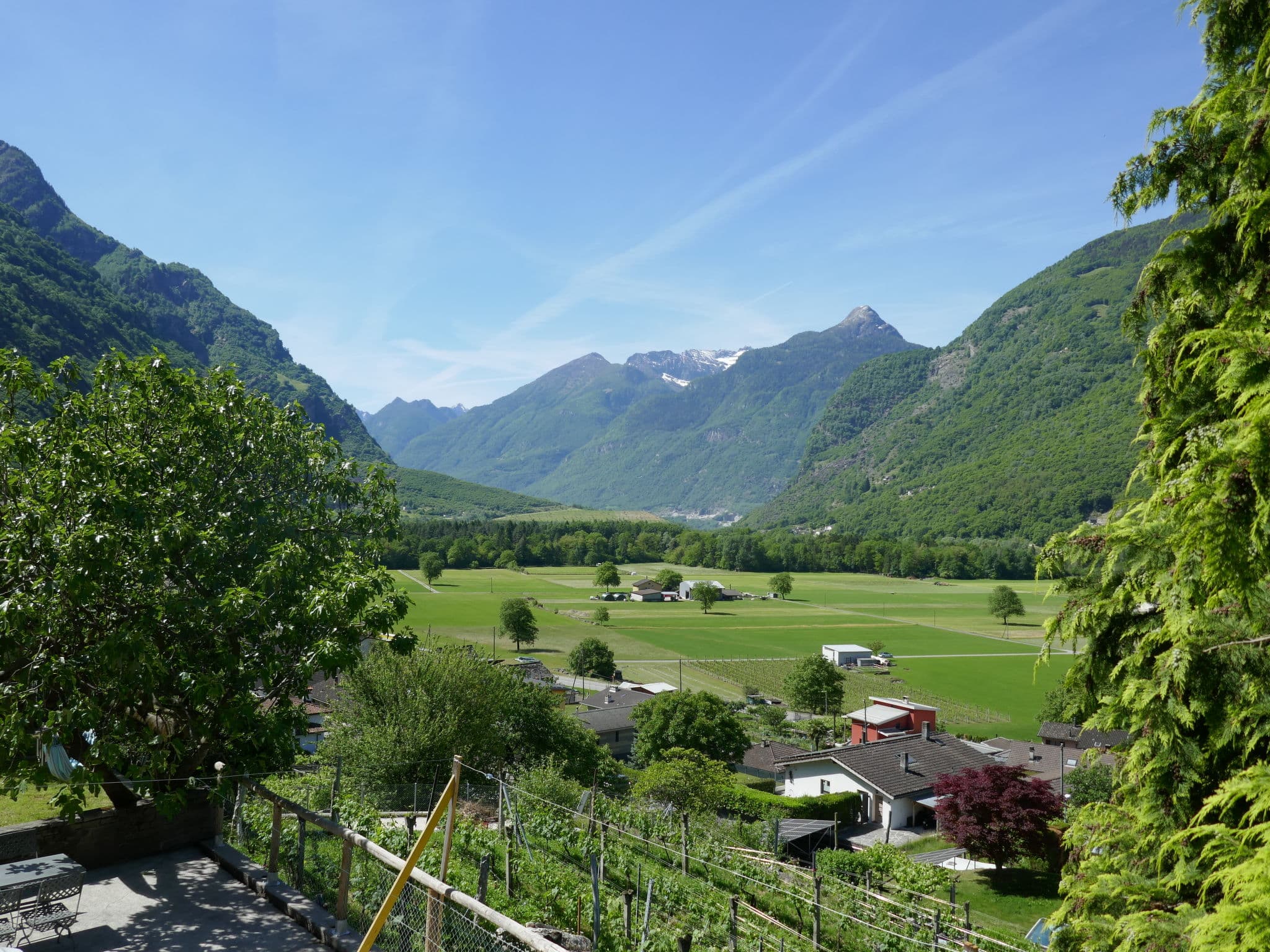 View