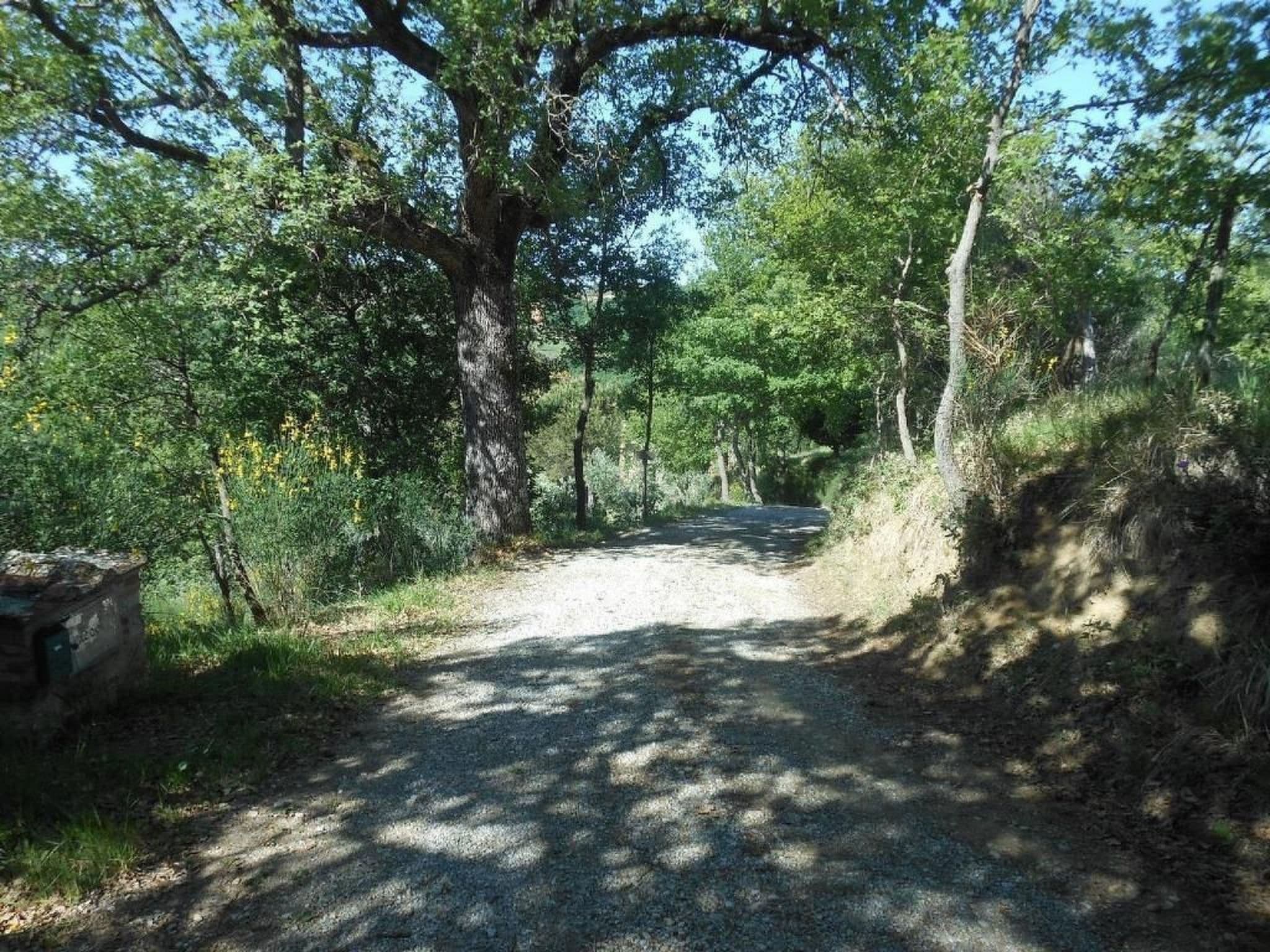 Gallery Image 25