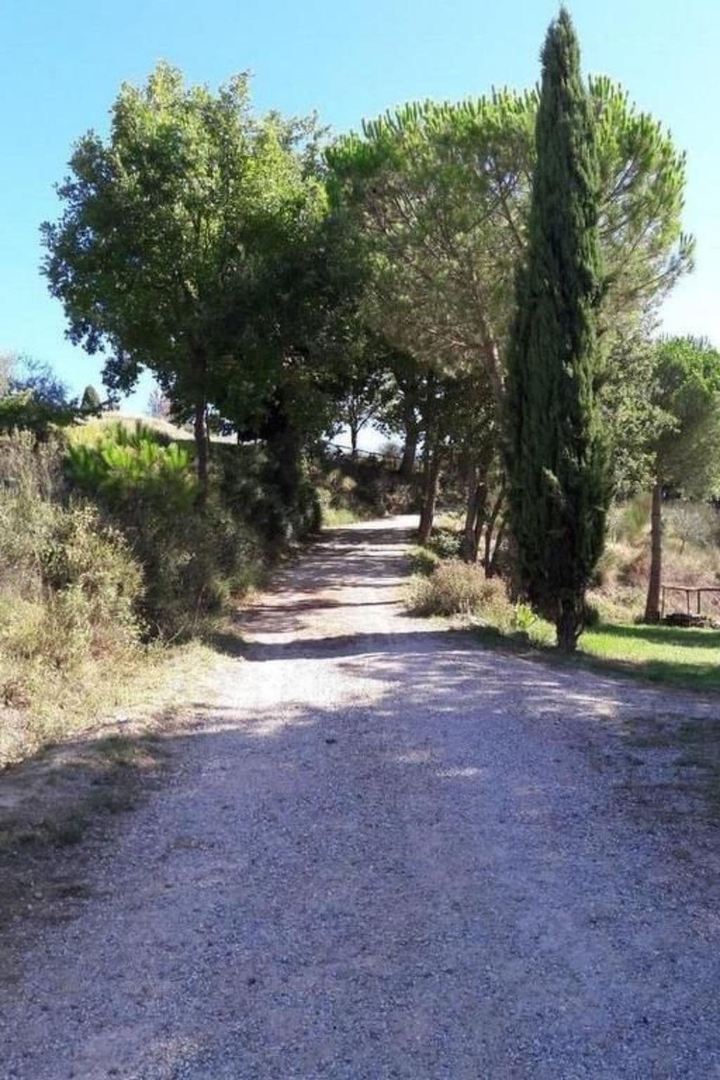 Gallery Image 39
