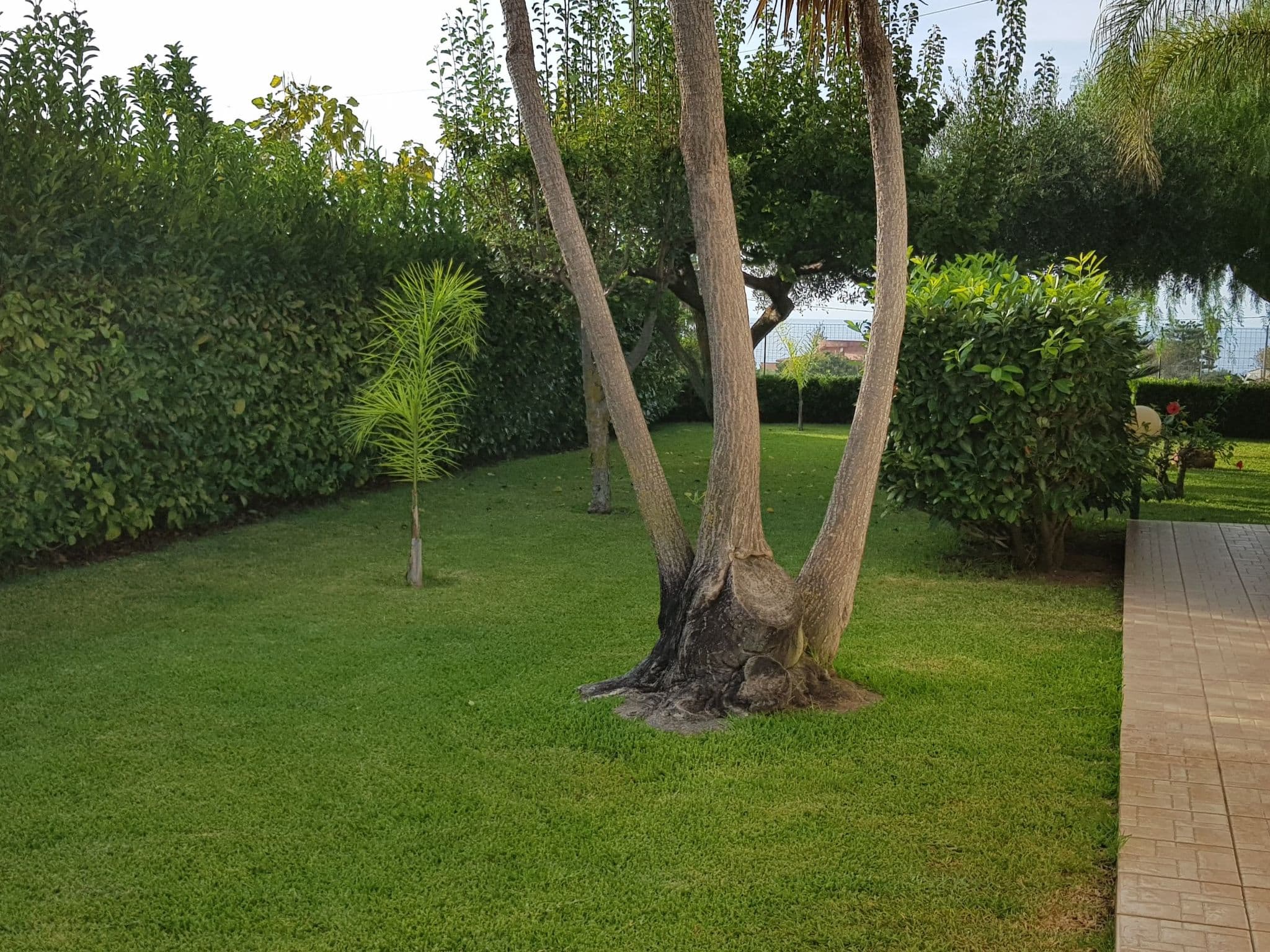 Gallery Image 30