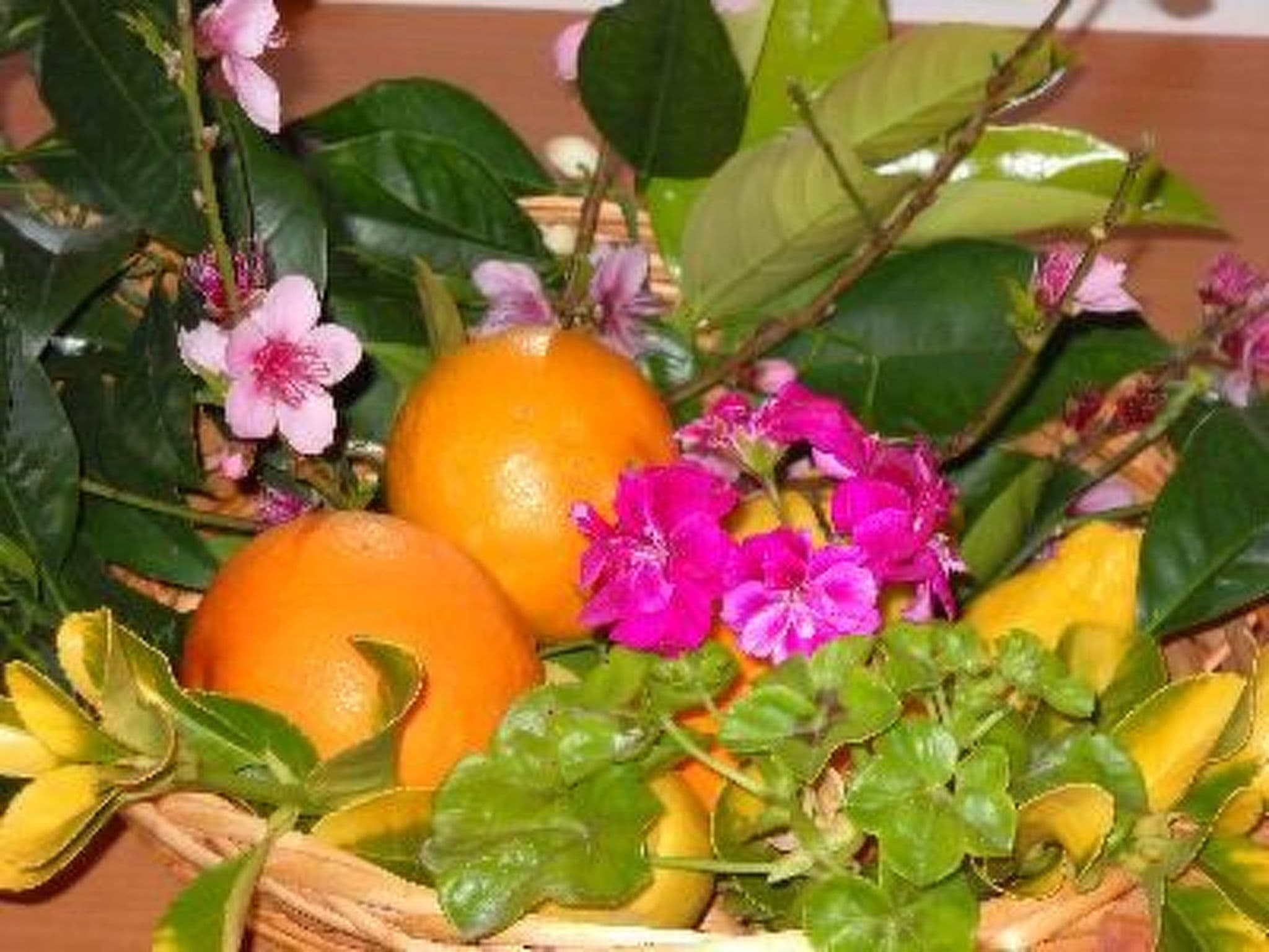 Gallery Image 31