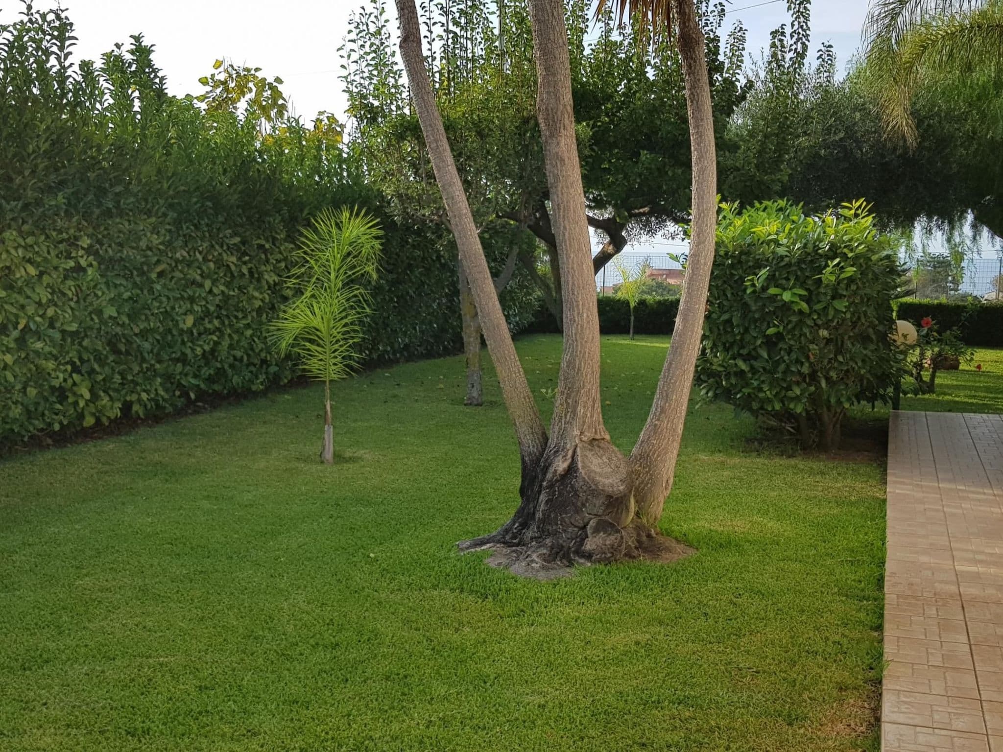 Gallery Image 45
