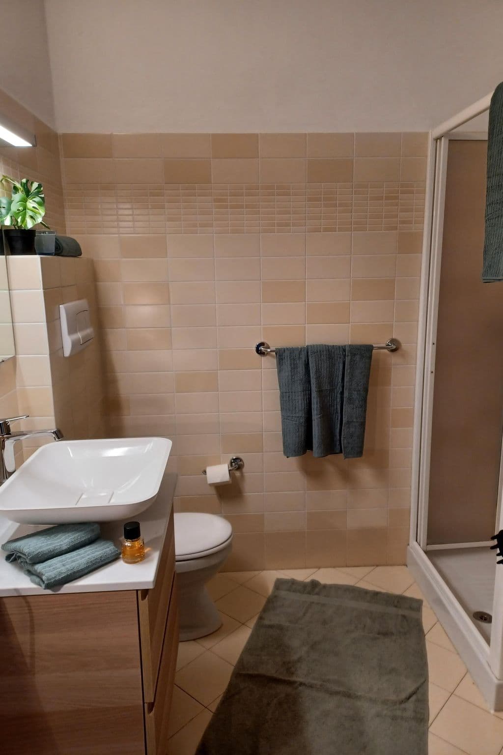 Bathroom / Wellness