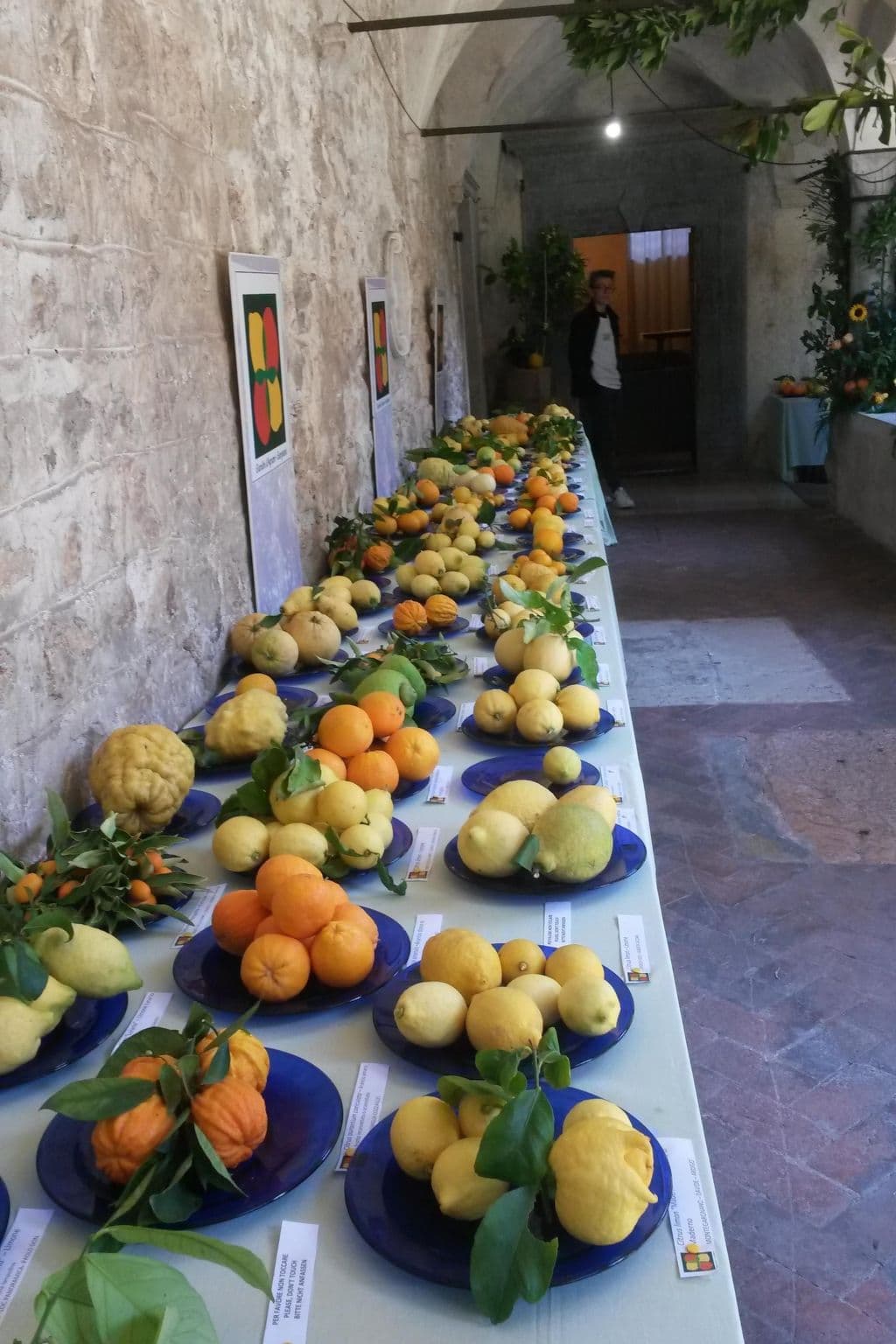 Gallery Image 35