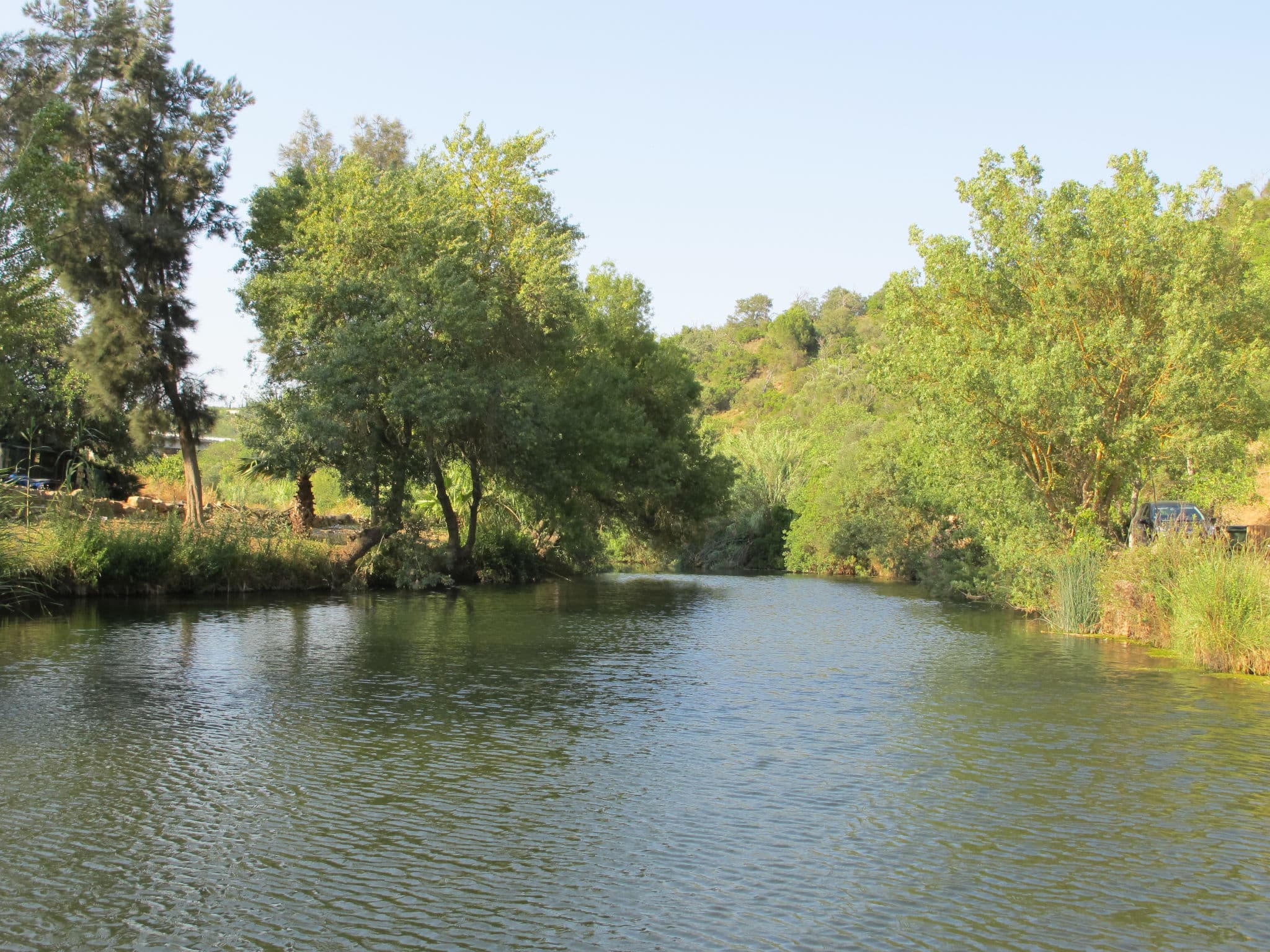 Mood