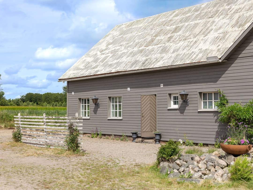 Large Image