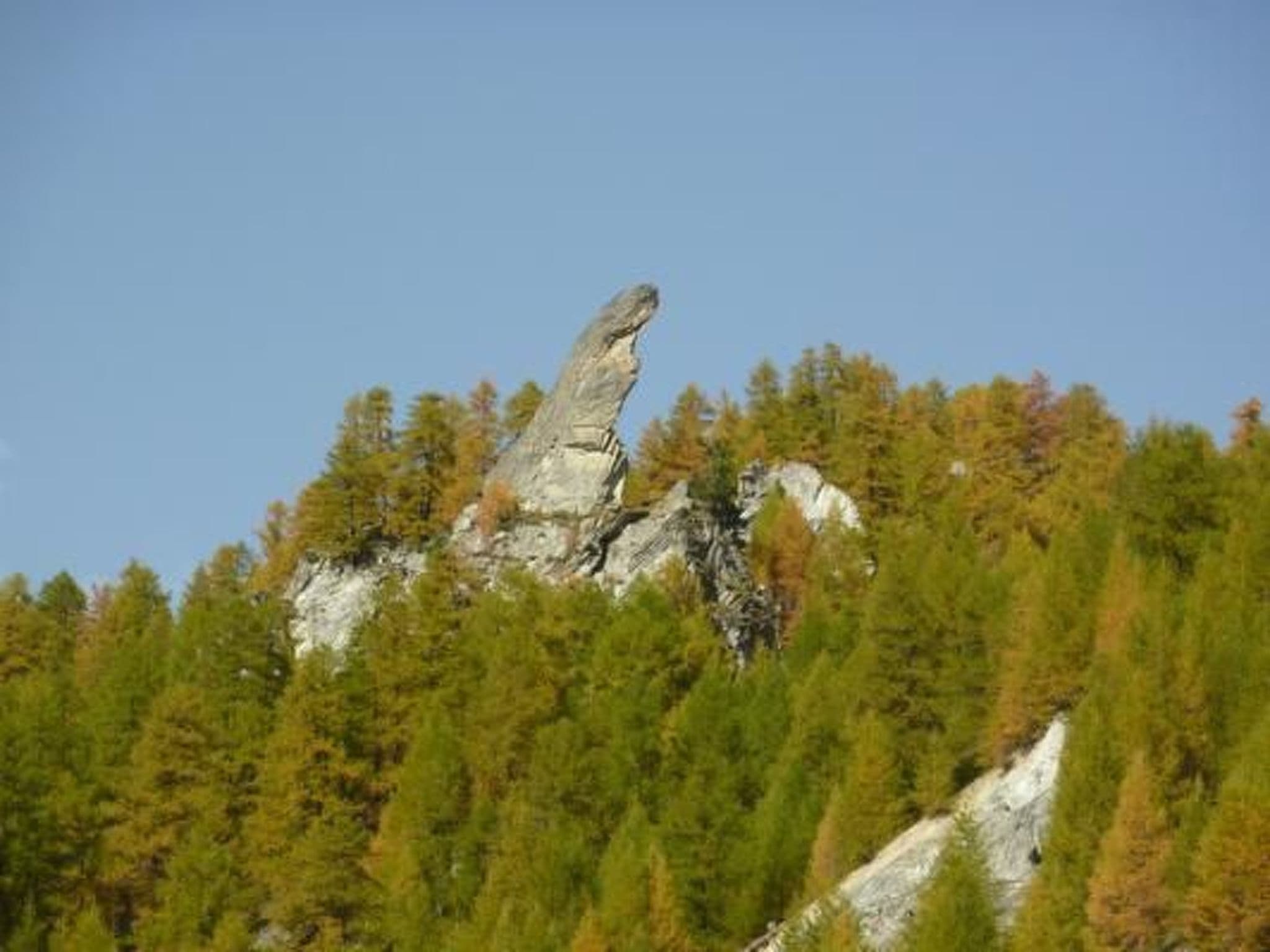 Gallery Image 26