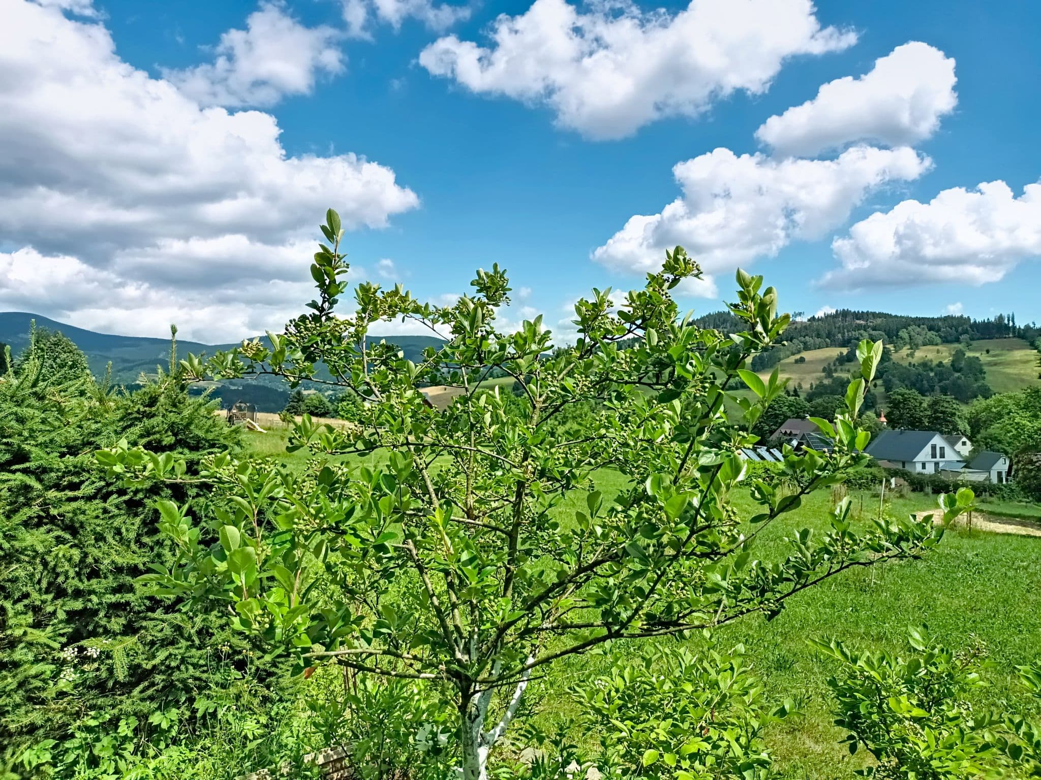 View