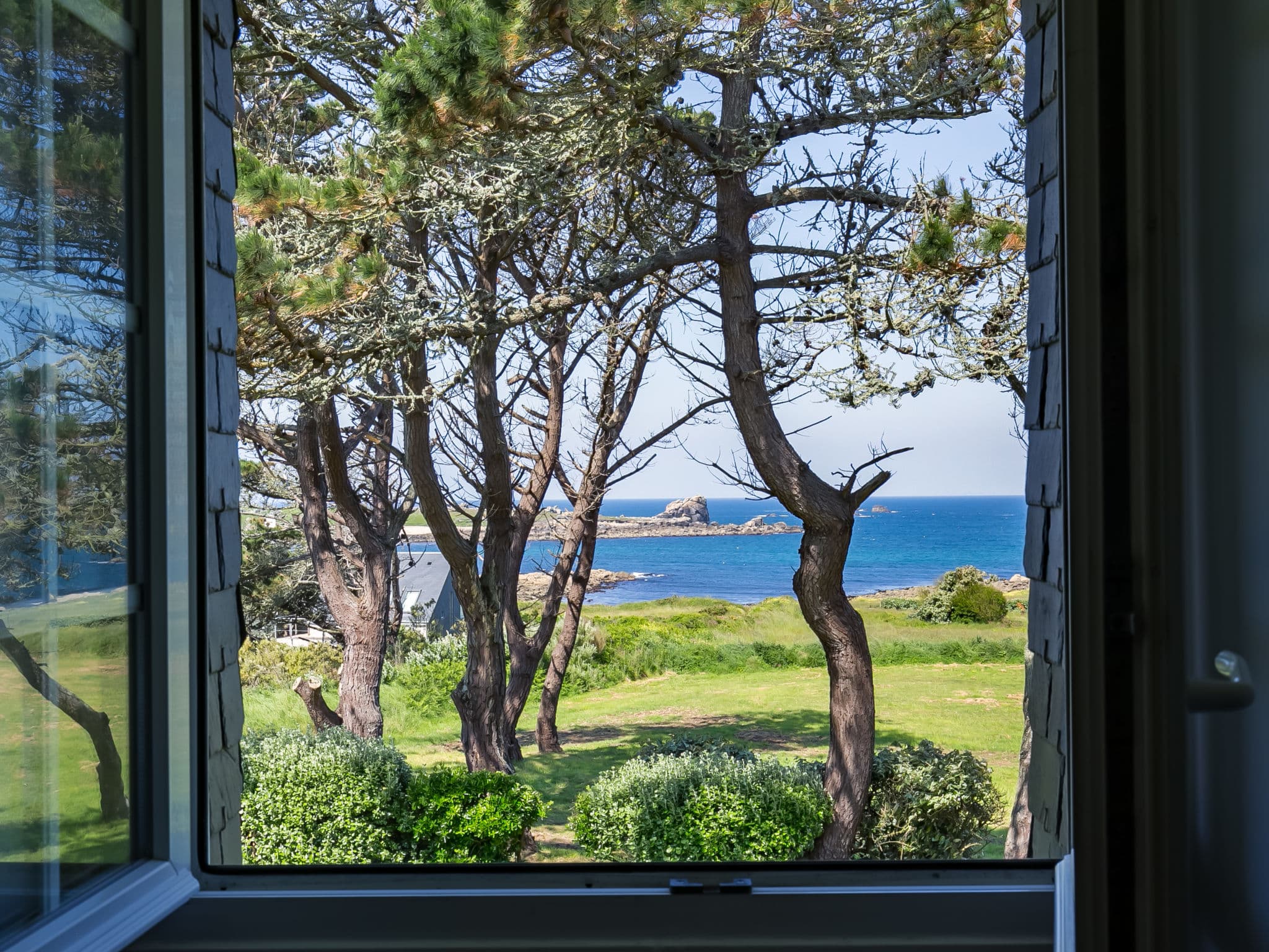 View