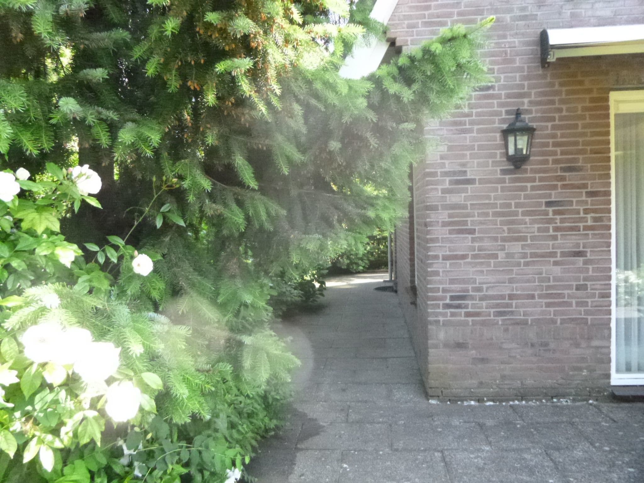 Gallery Image 18