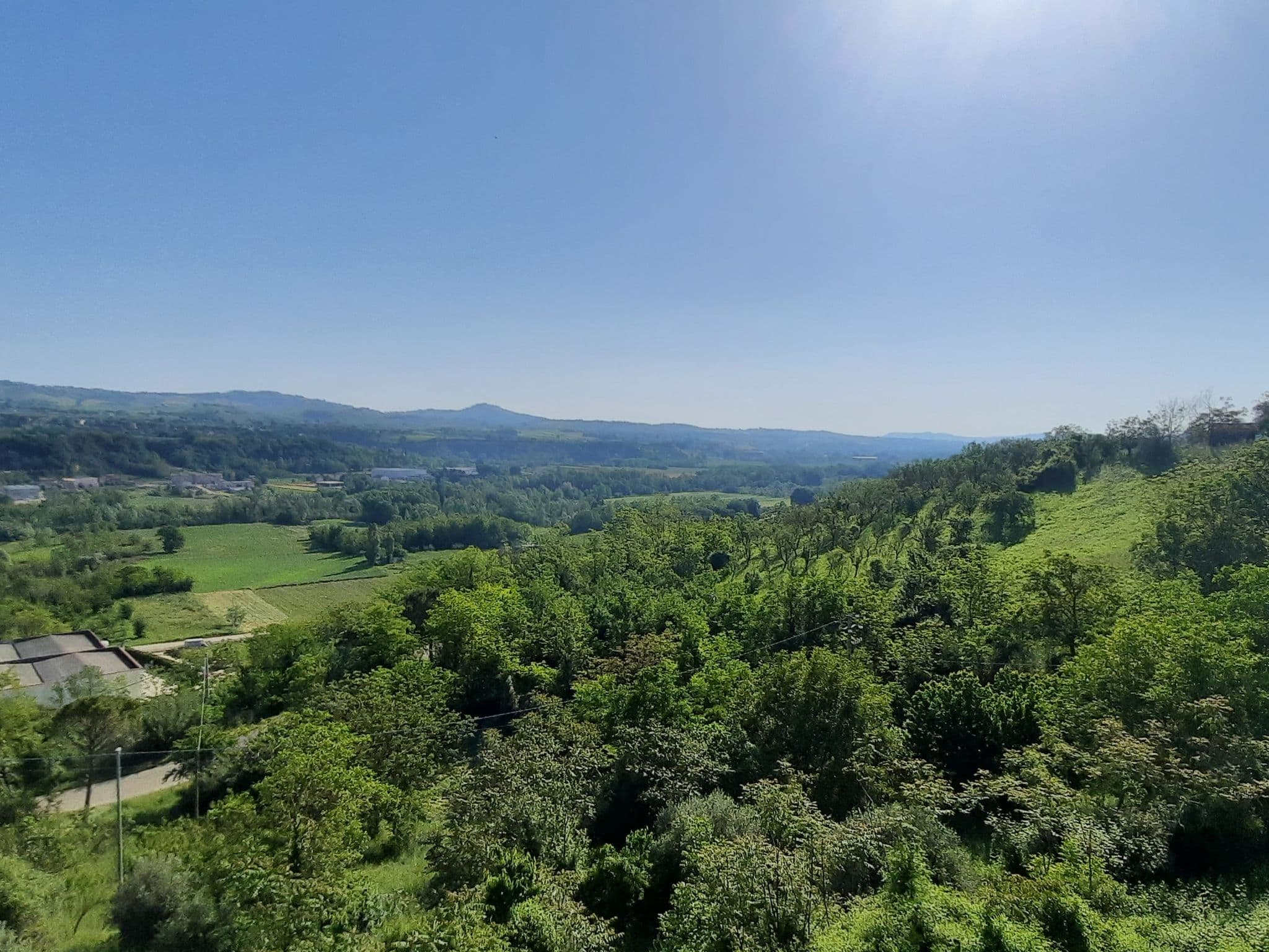View