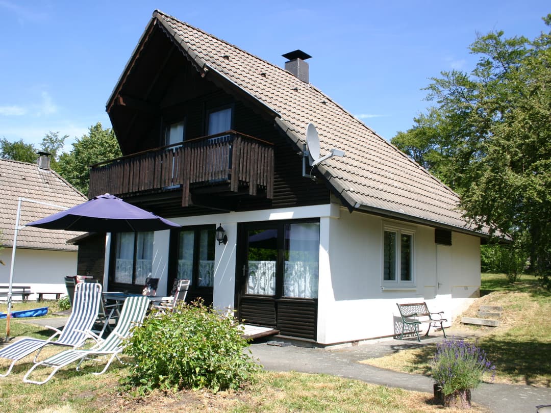 Large Image