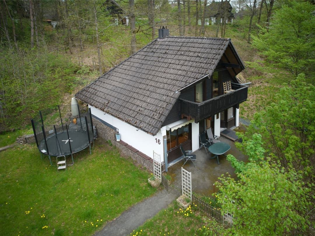 Large Image