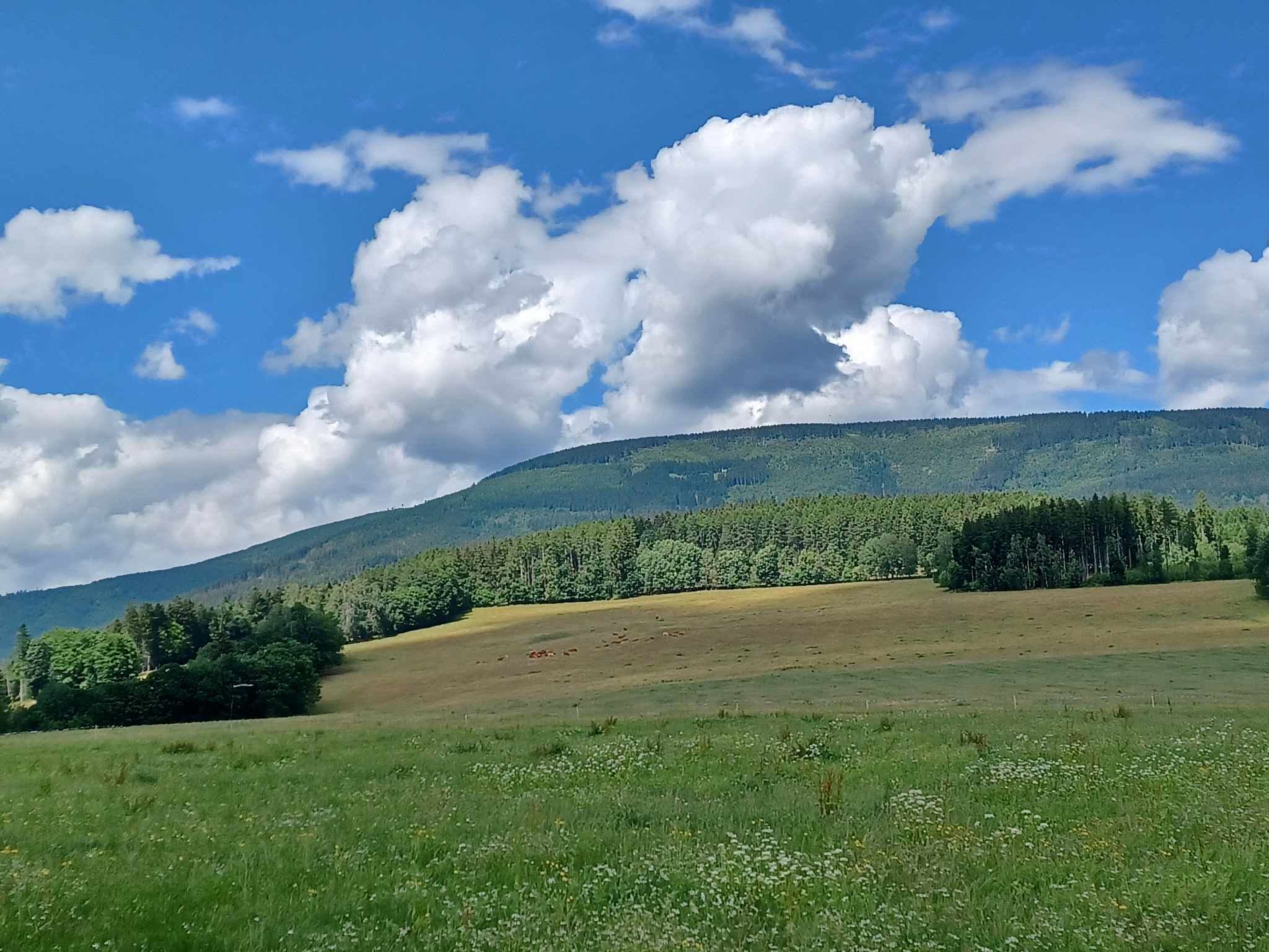 Place