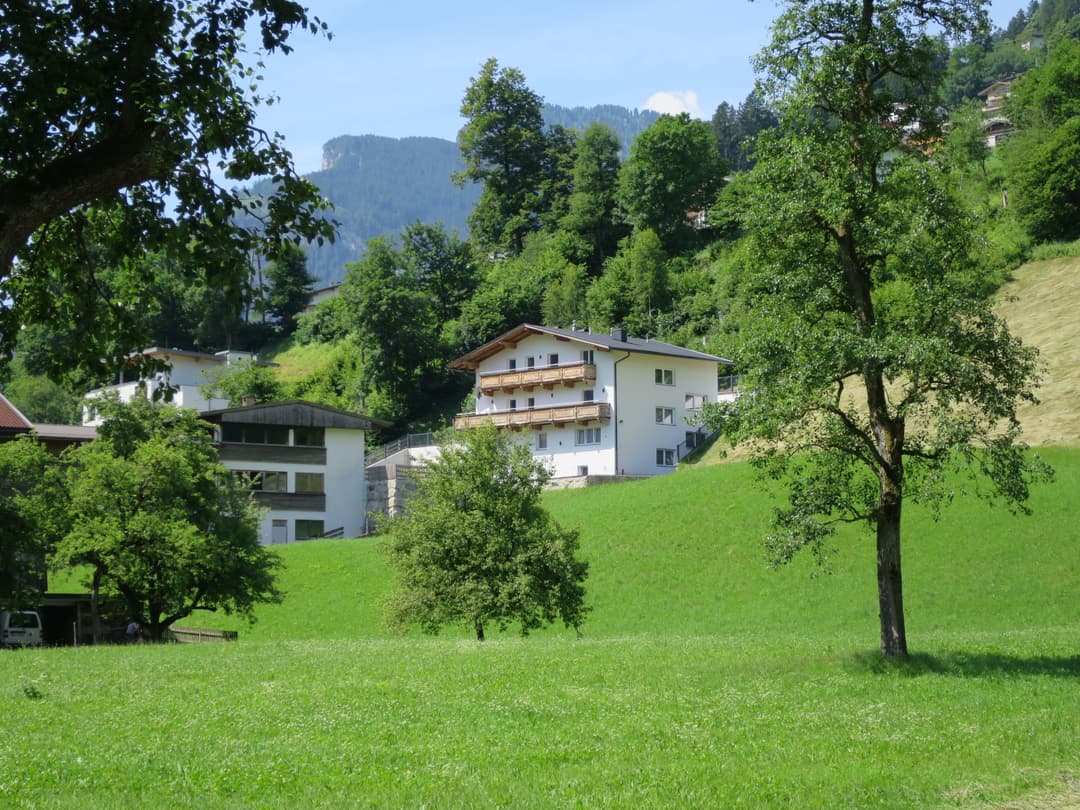 Large Image