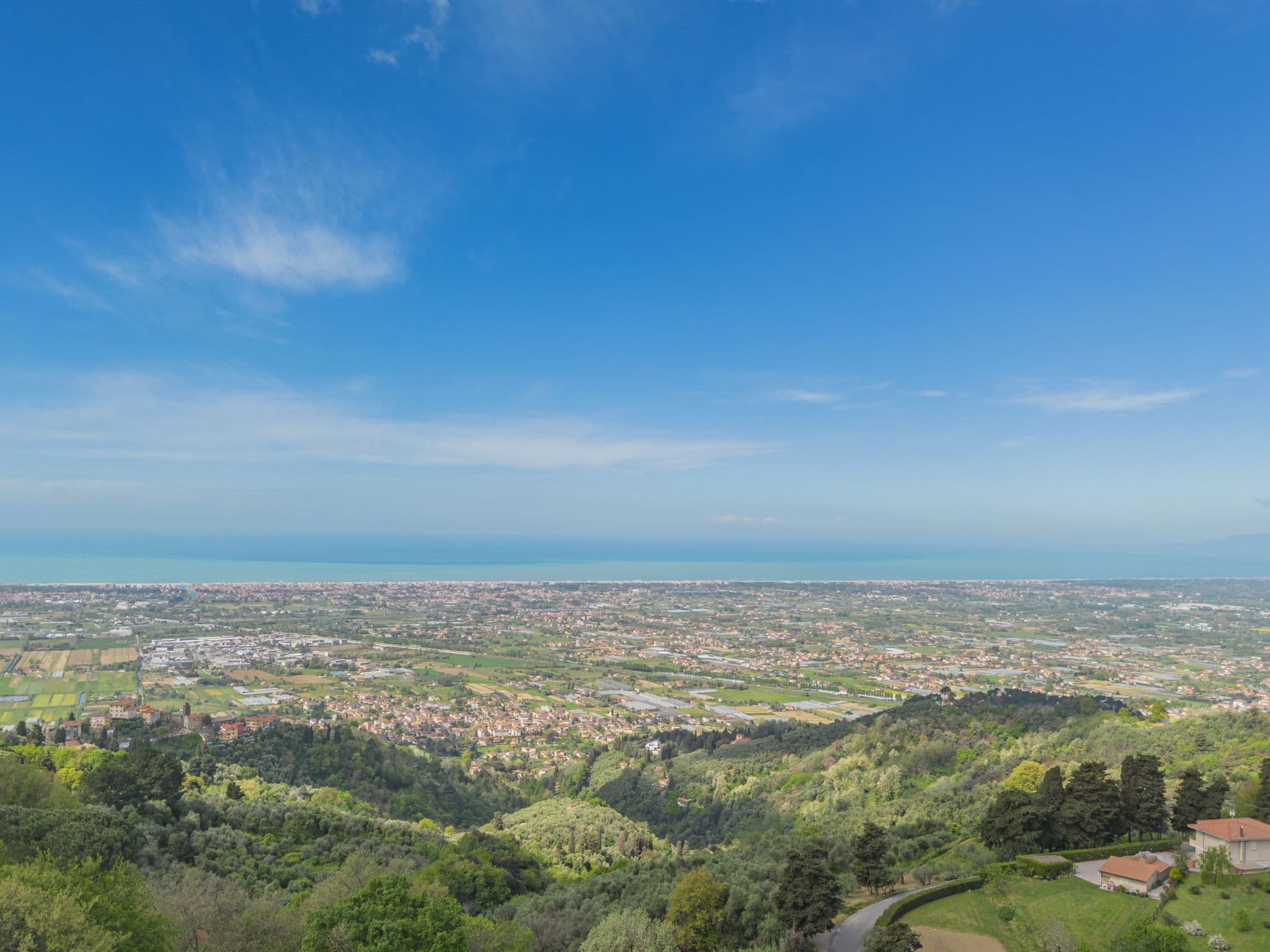 View