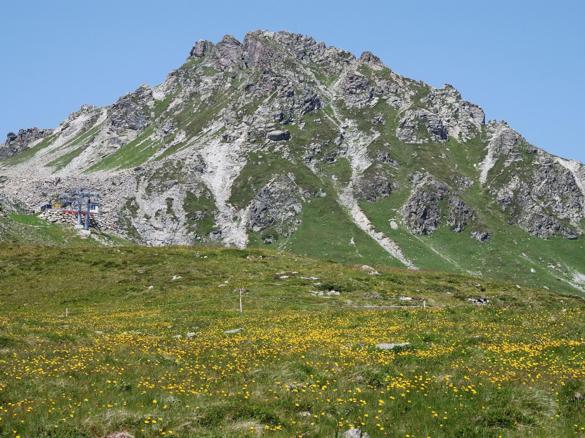 Gallery Image 21