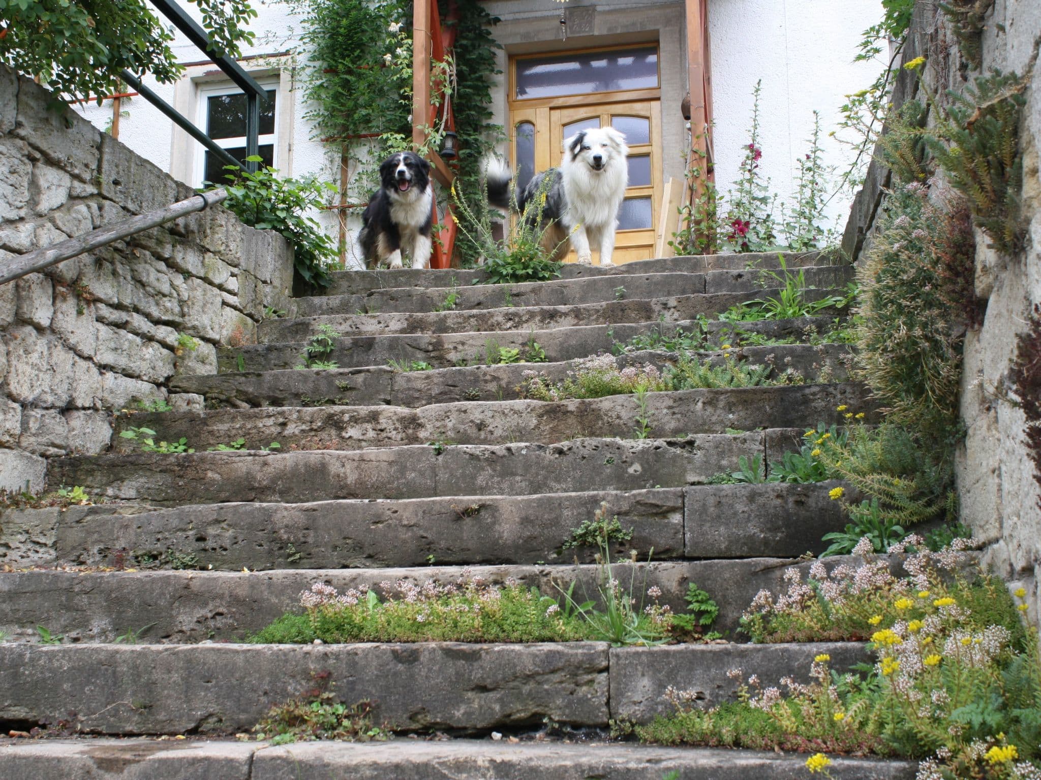 Gallery Image 20