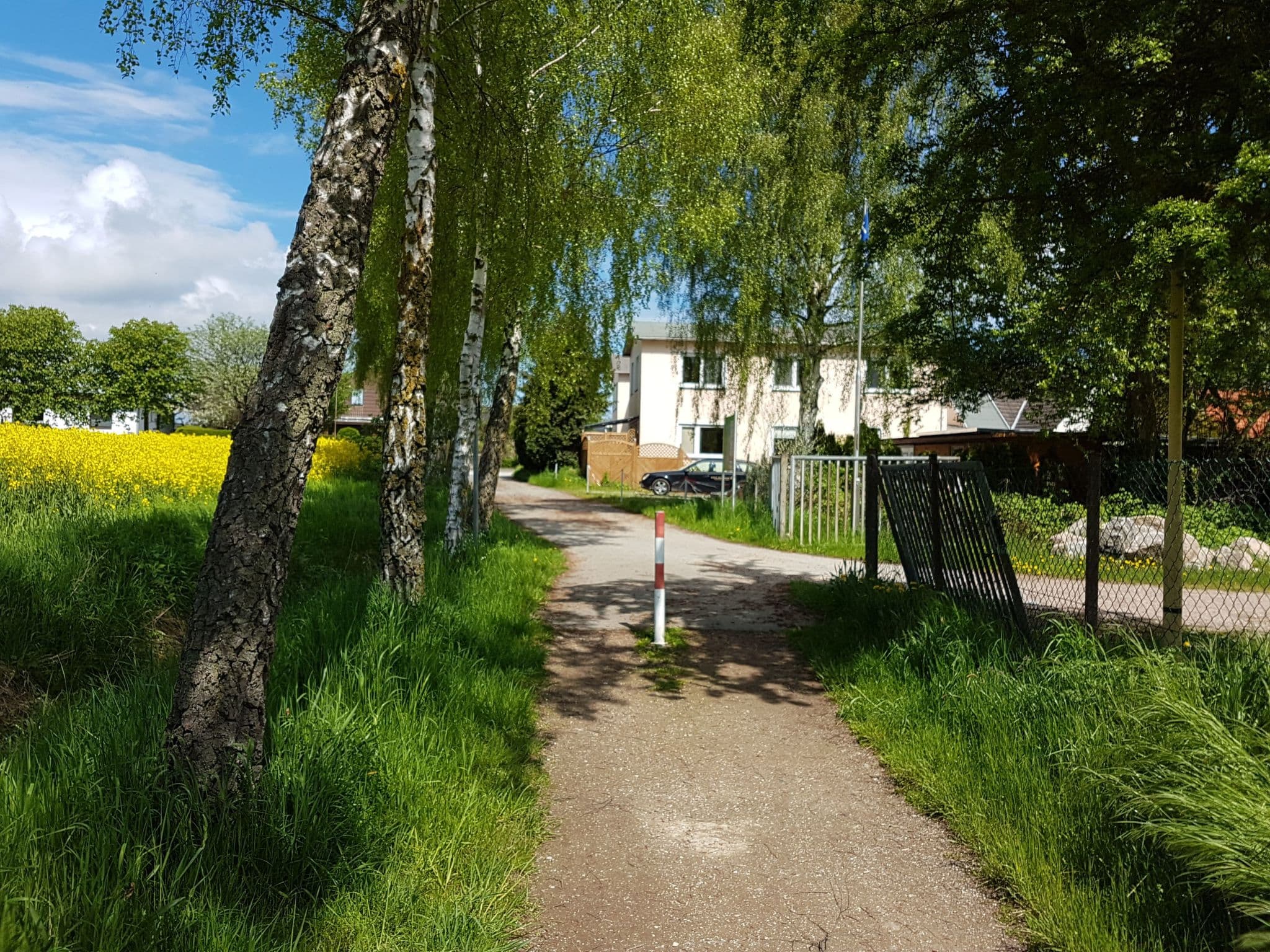 Gallery Image 29