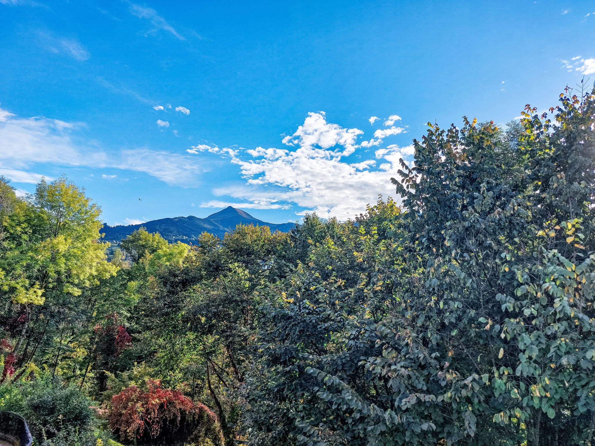View