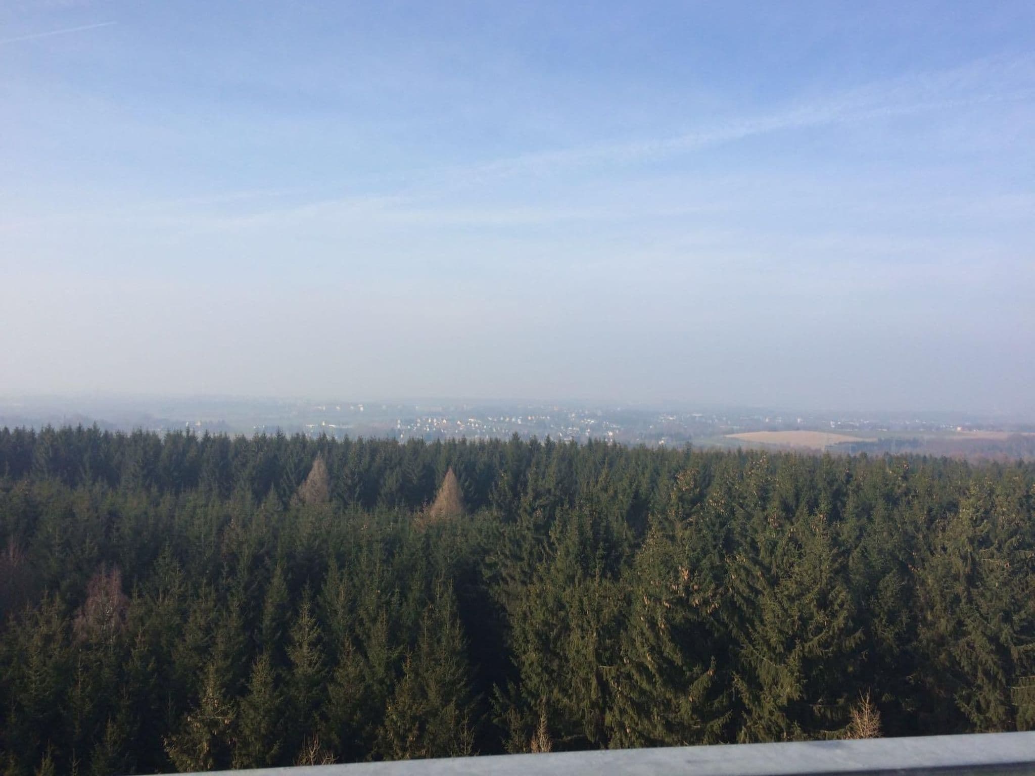 View
